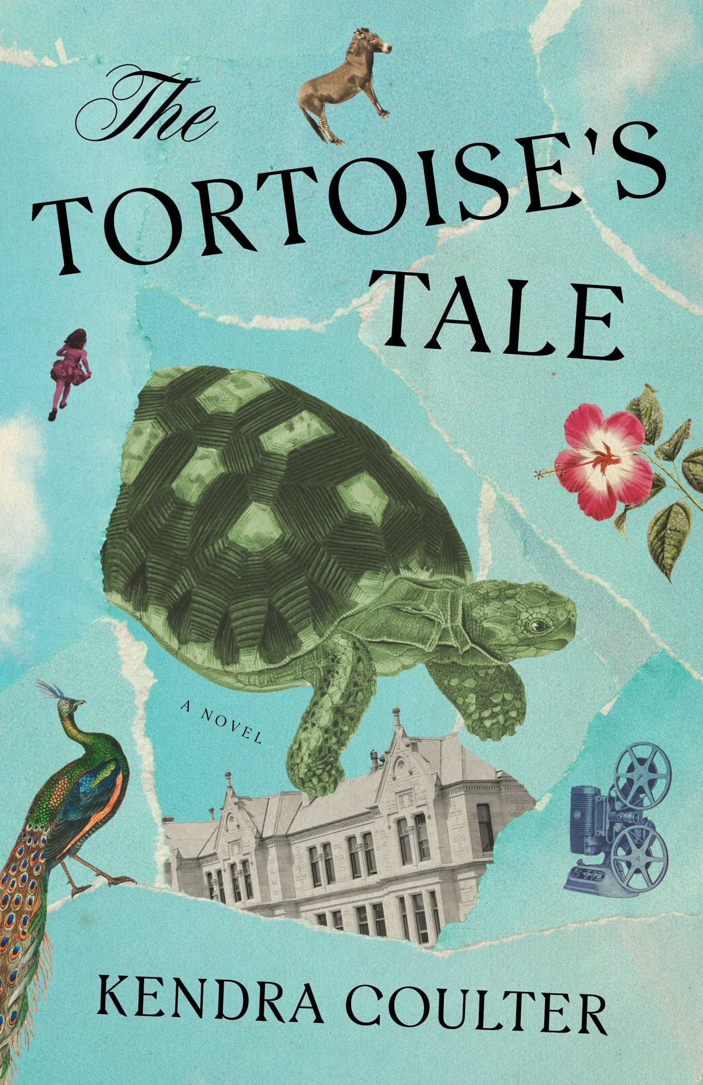 Tortoise's Tale: A Novel