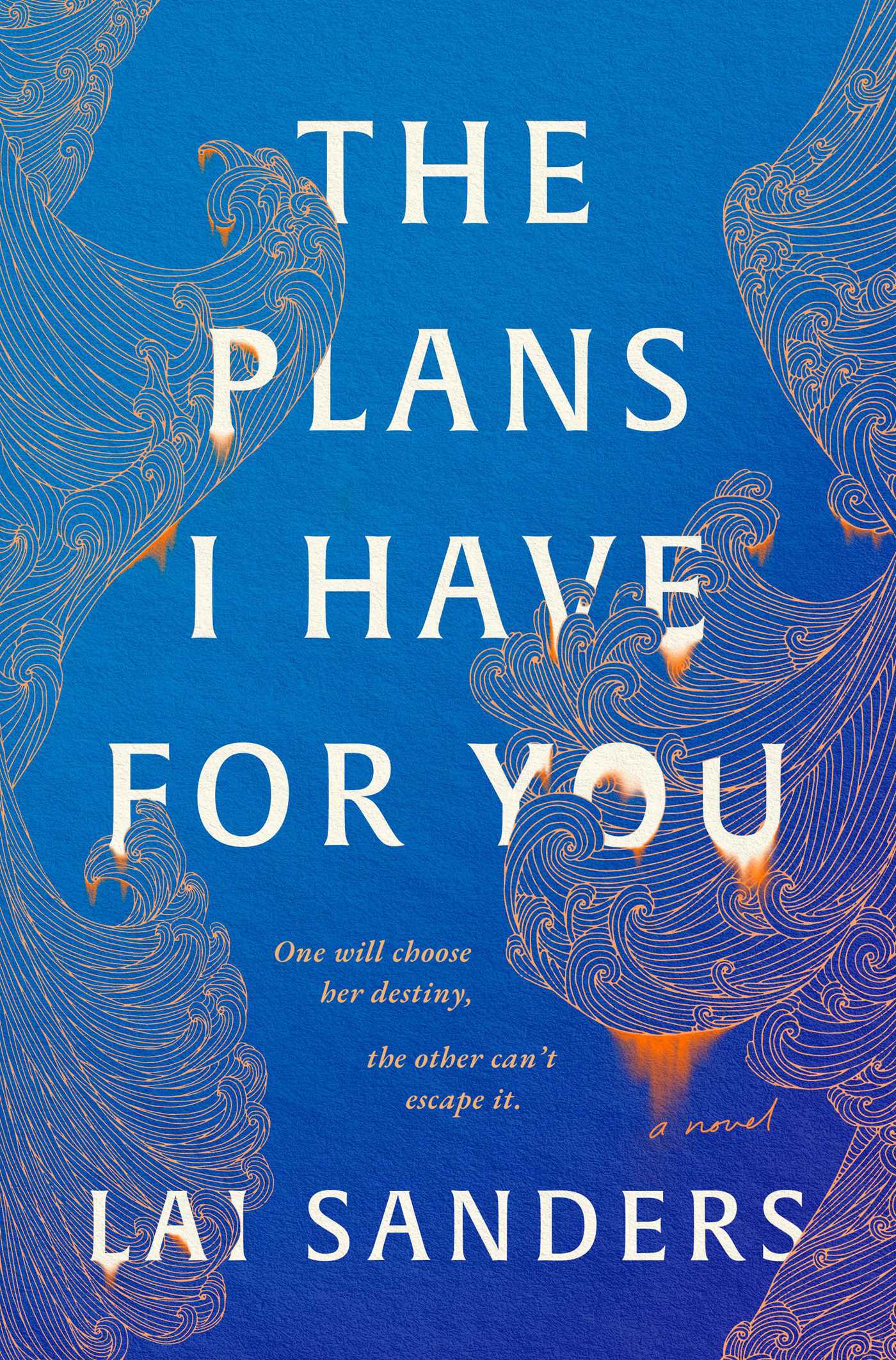 Plans I Have for You: A Novel