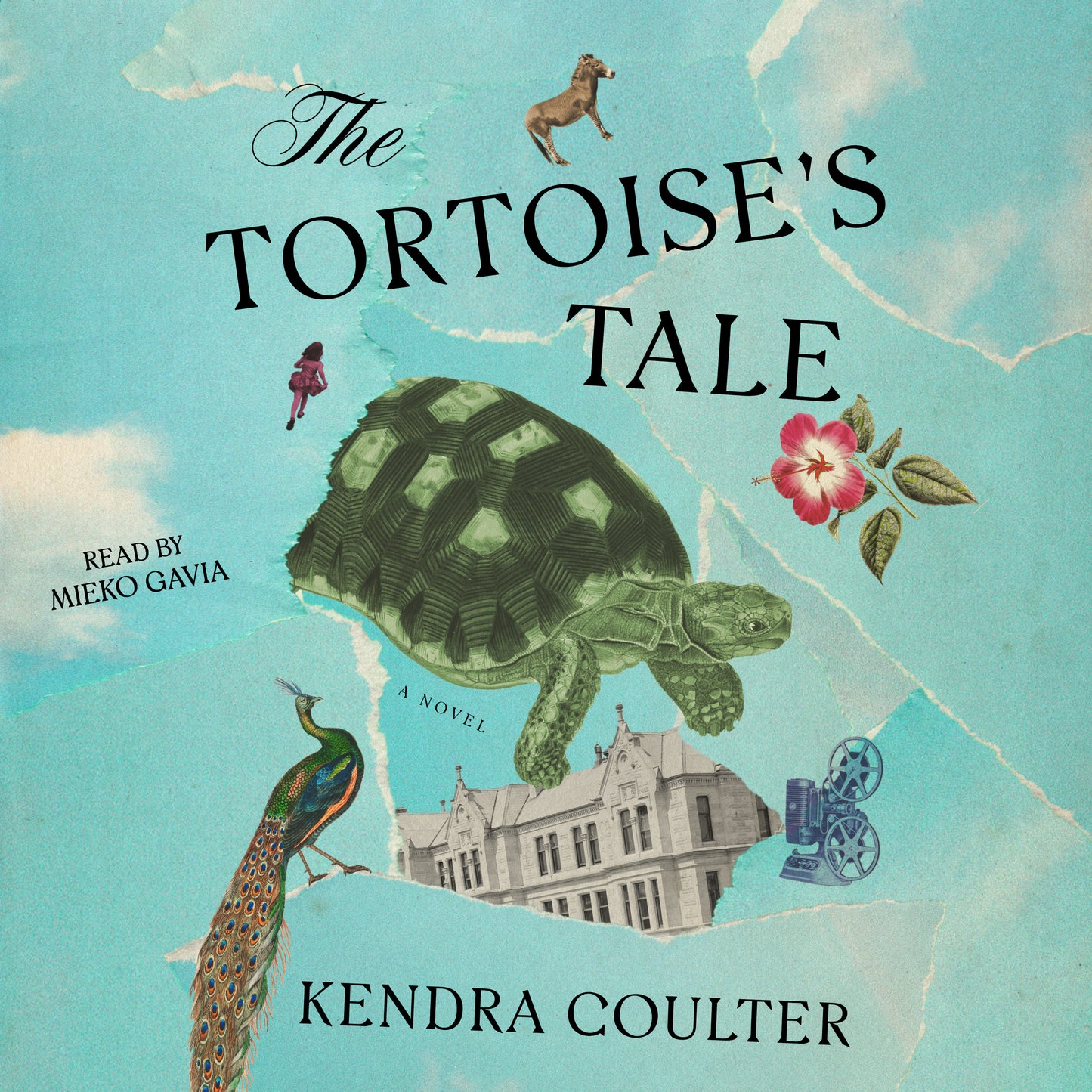 Tortoise's Tale