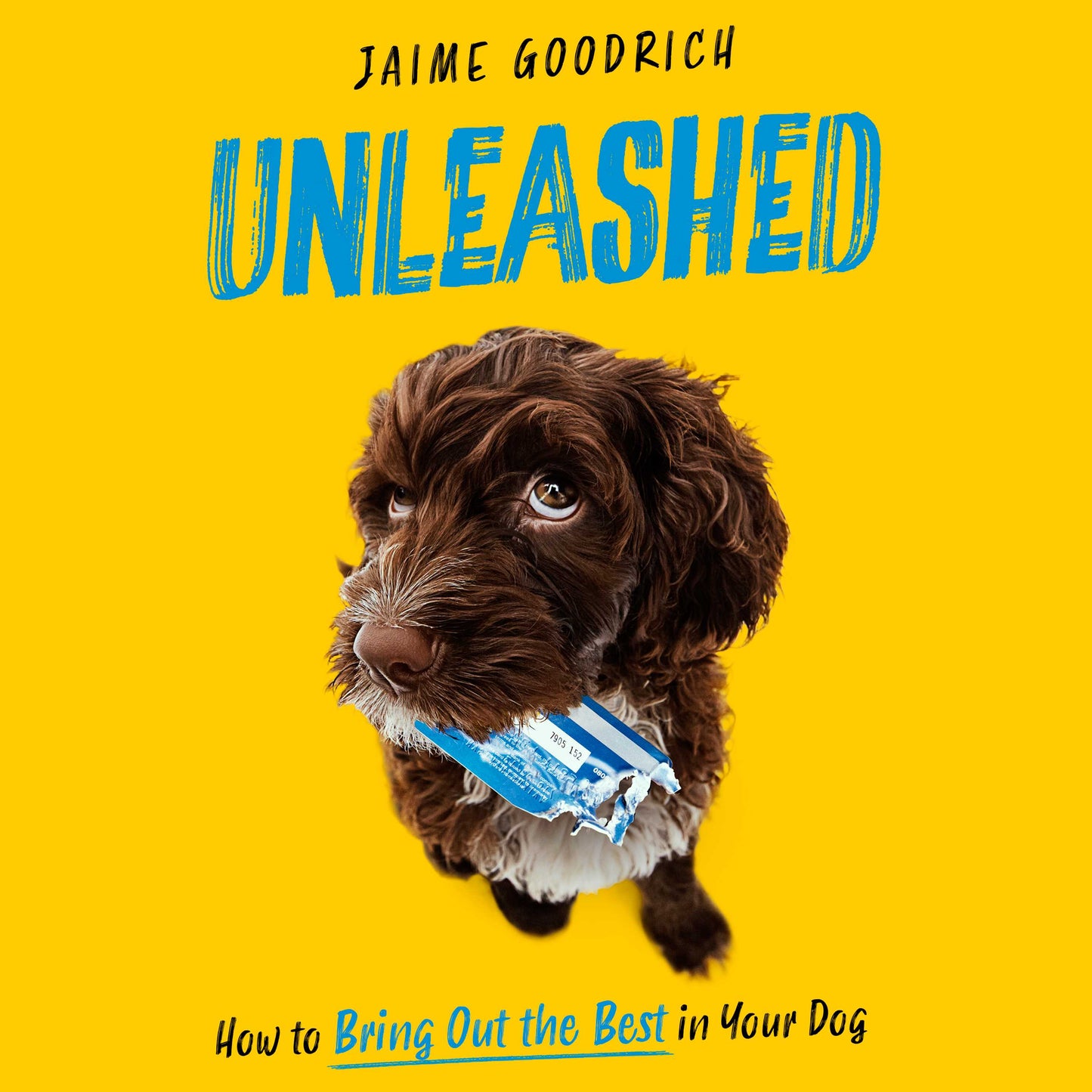 Unleashed