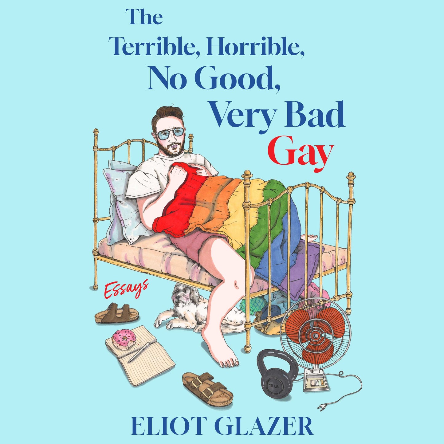 Terrible, Horrible, No Good, Very Bad Gay: Essays