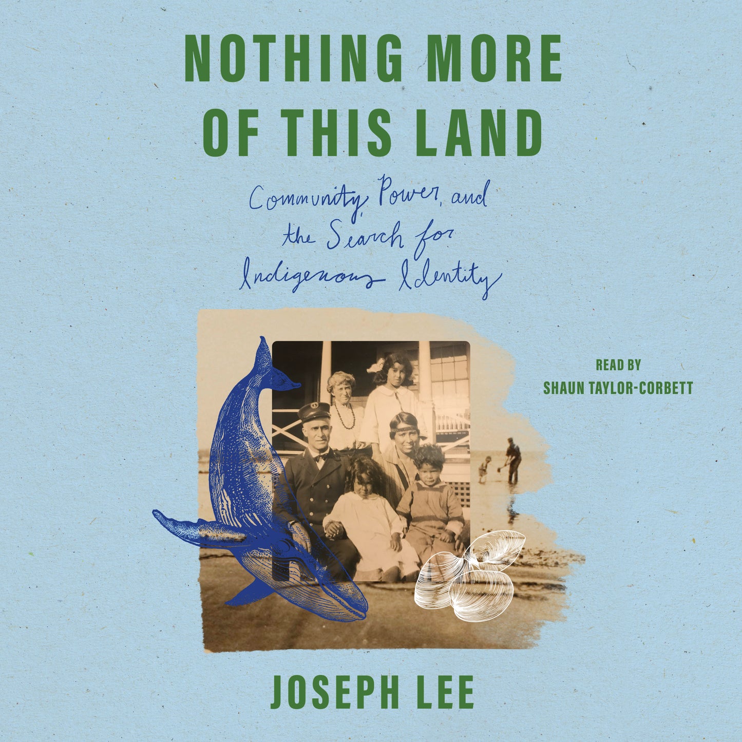 Nothing More of This Land