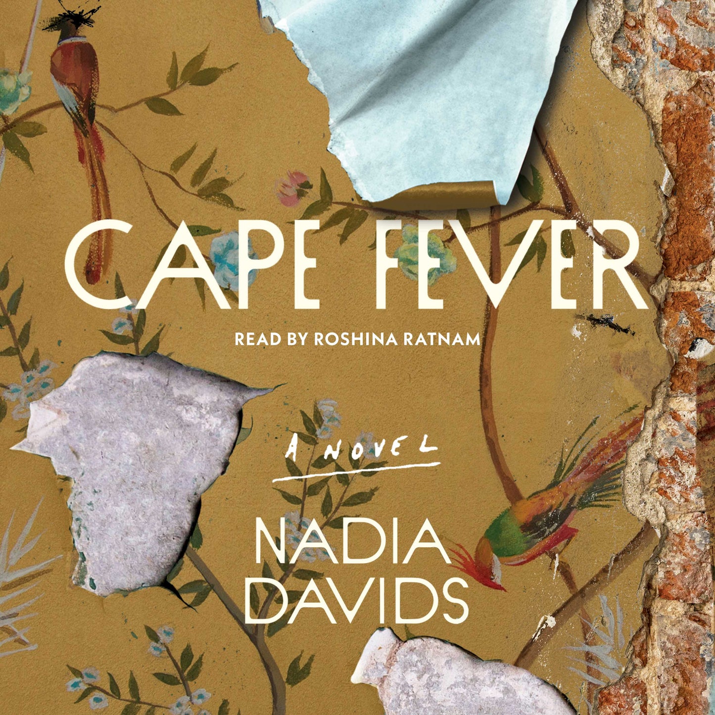Cape Fever