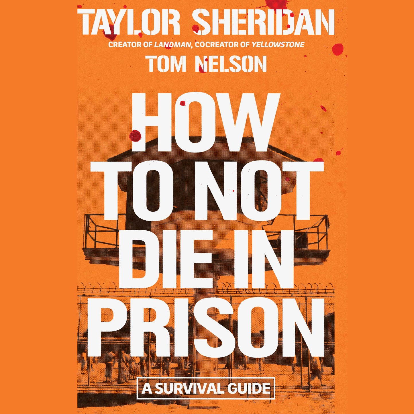 How to Not Die in Prison