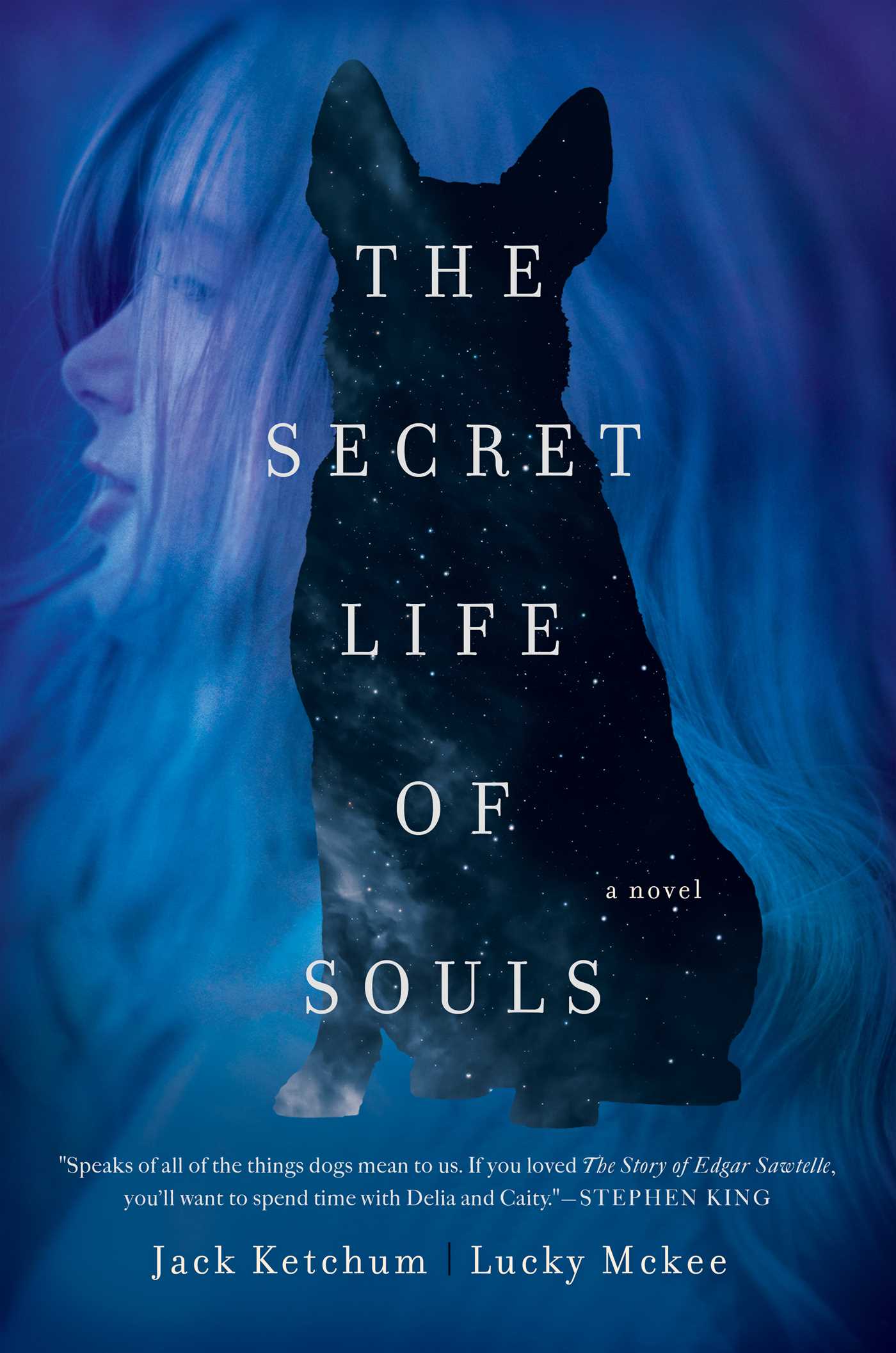 Secret Life of Souls: A Novel