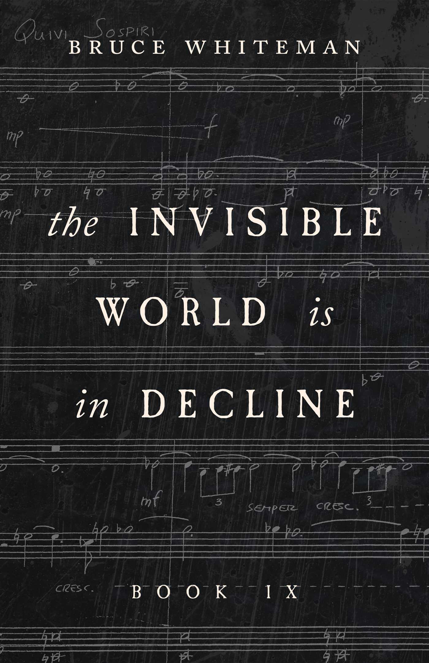 Invisible World Is in Decline Book IX