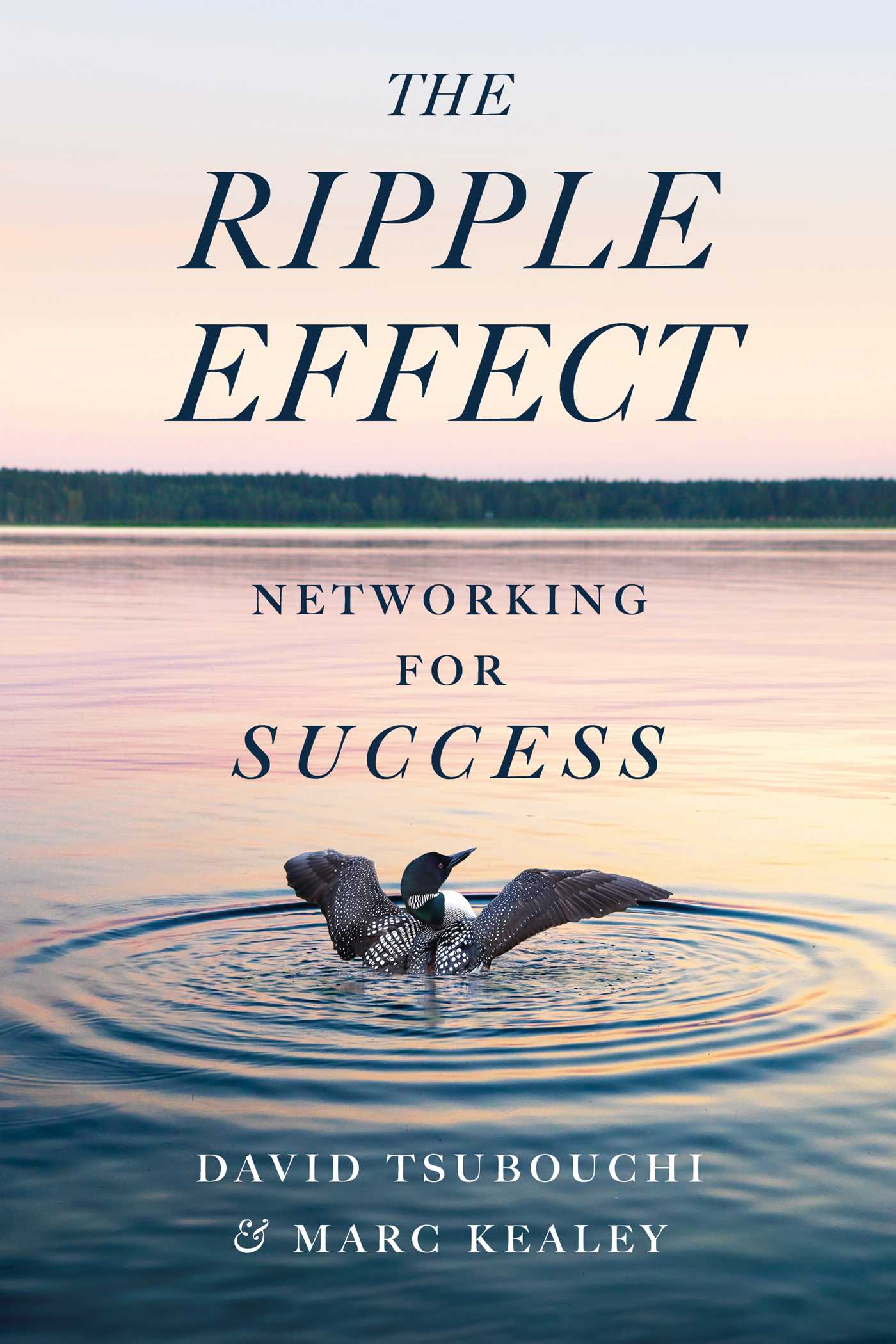 Ripple Effect: Networking for Success