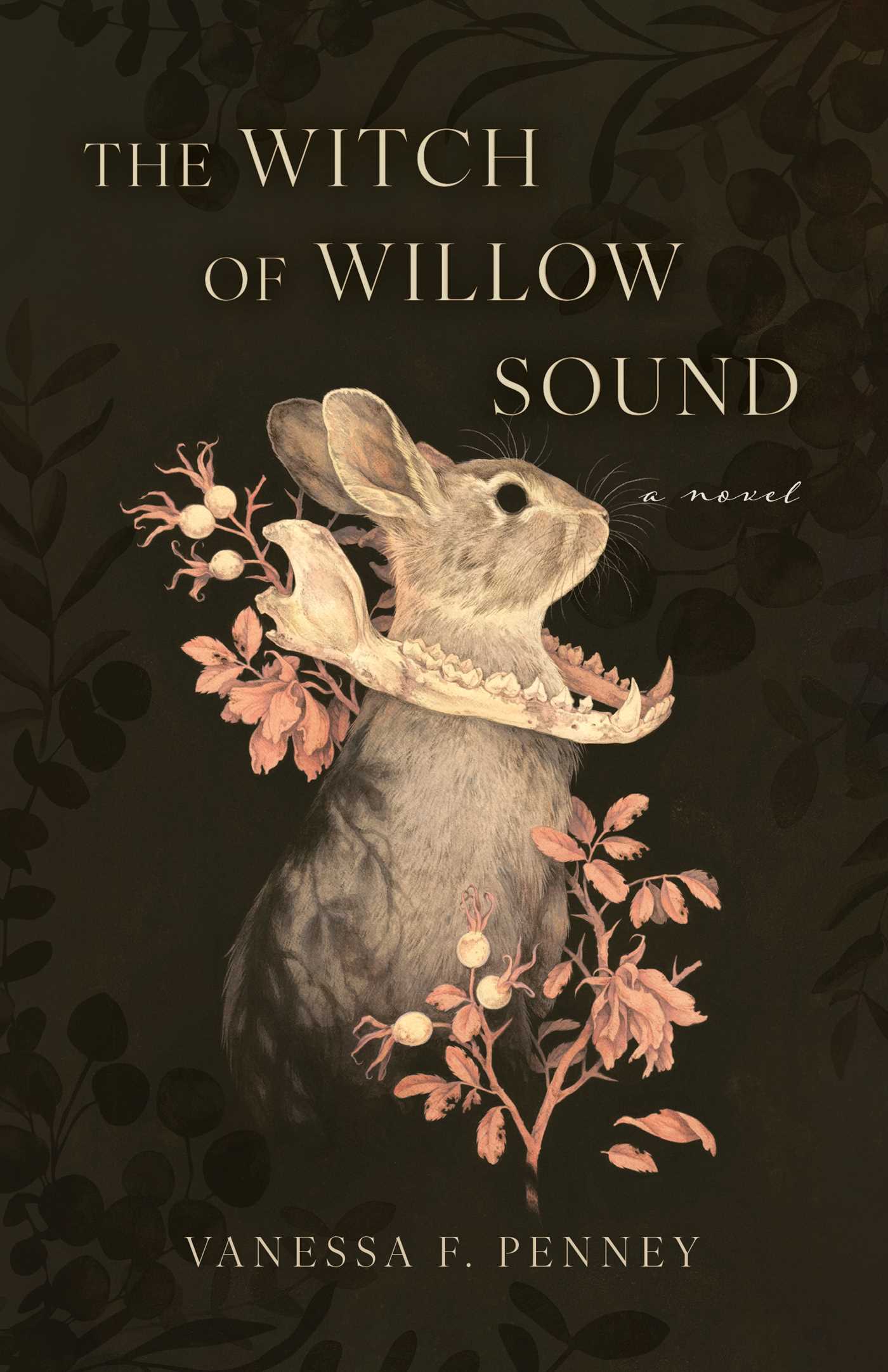 Witch of Willow Sound: A Novel