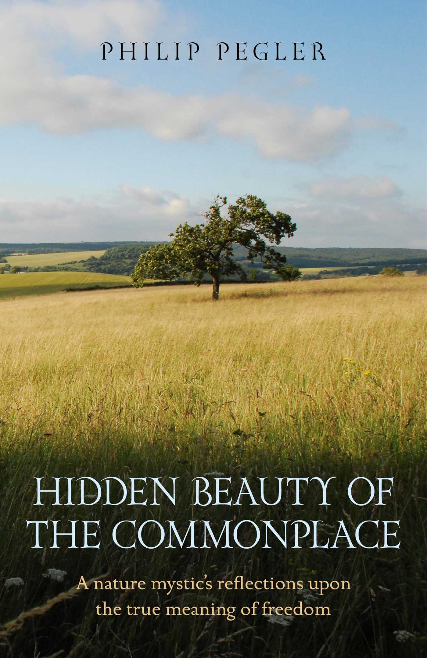 Hidden Beauty of the Commonplace