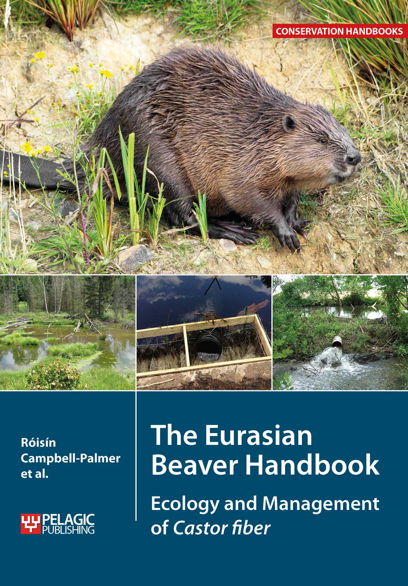 Eurasian Beaver Handbook: Ecology and Management of Castor Fiber