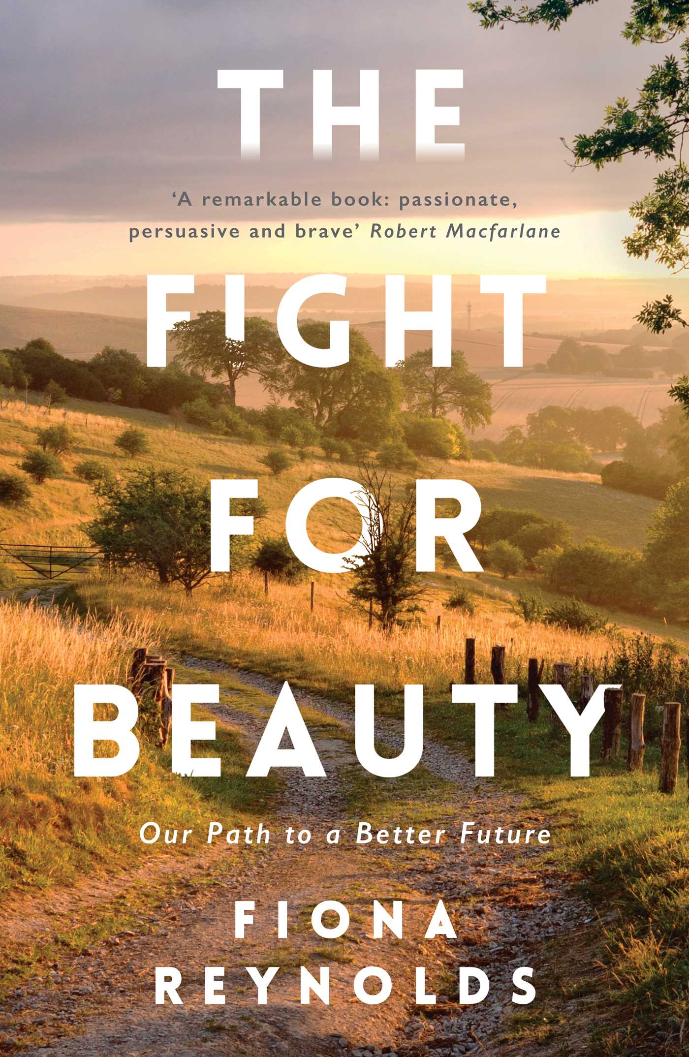 Fight for Beauty: Our Path to a Better Future