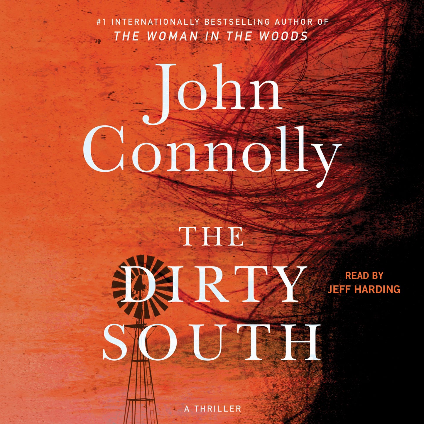 Dirty South: A Thriler