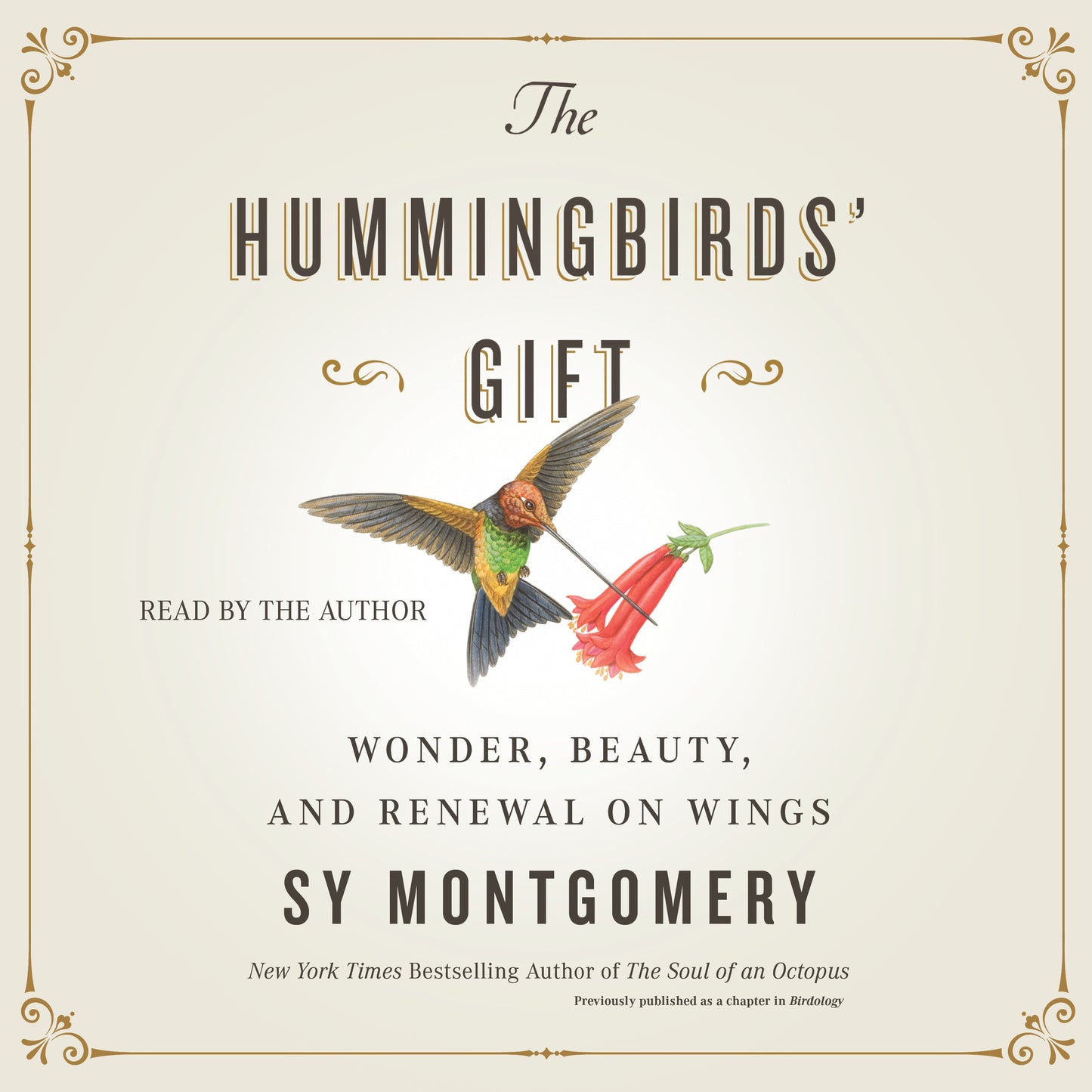 Hummingbirds' Gift: Wonder, Beauty, and Renewal on Wings