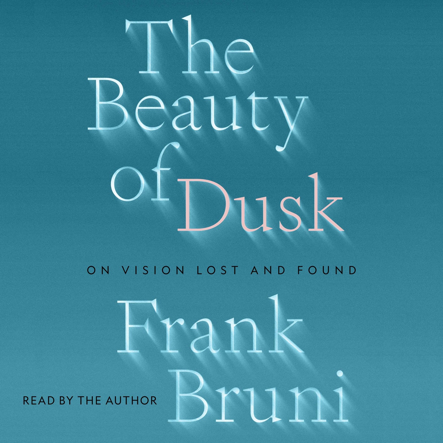 Beauty of Dusk: On Vision Lost and Found