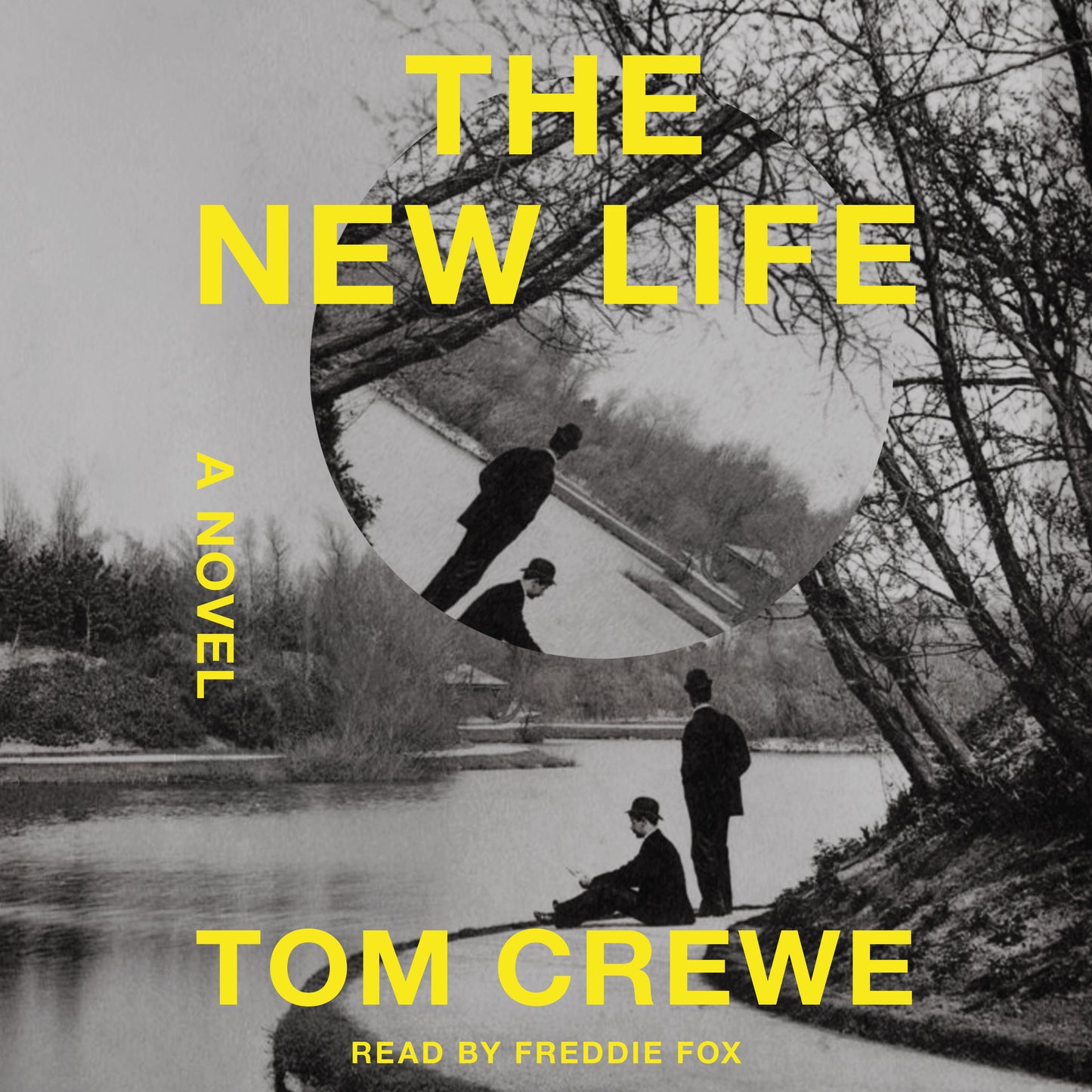 New Life: A Novel