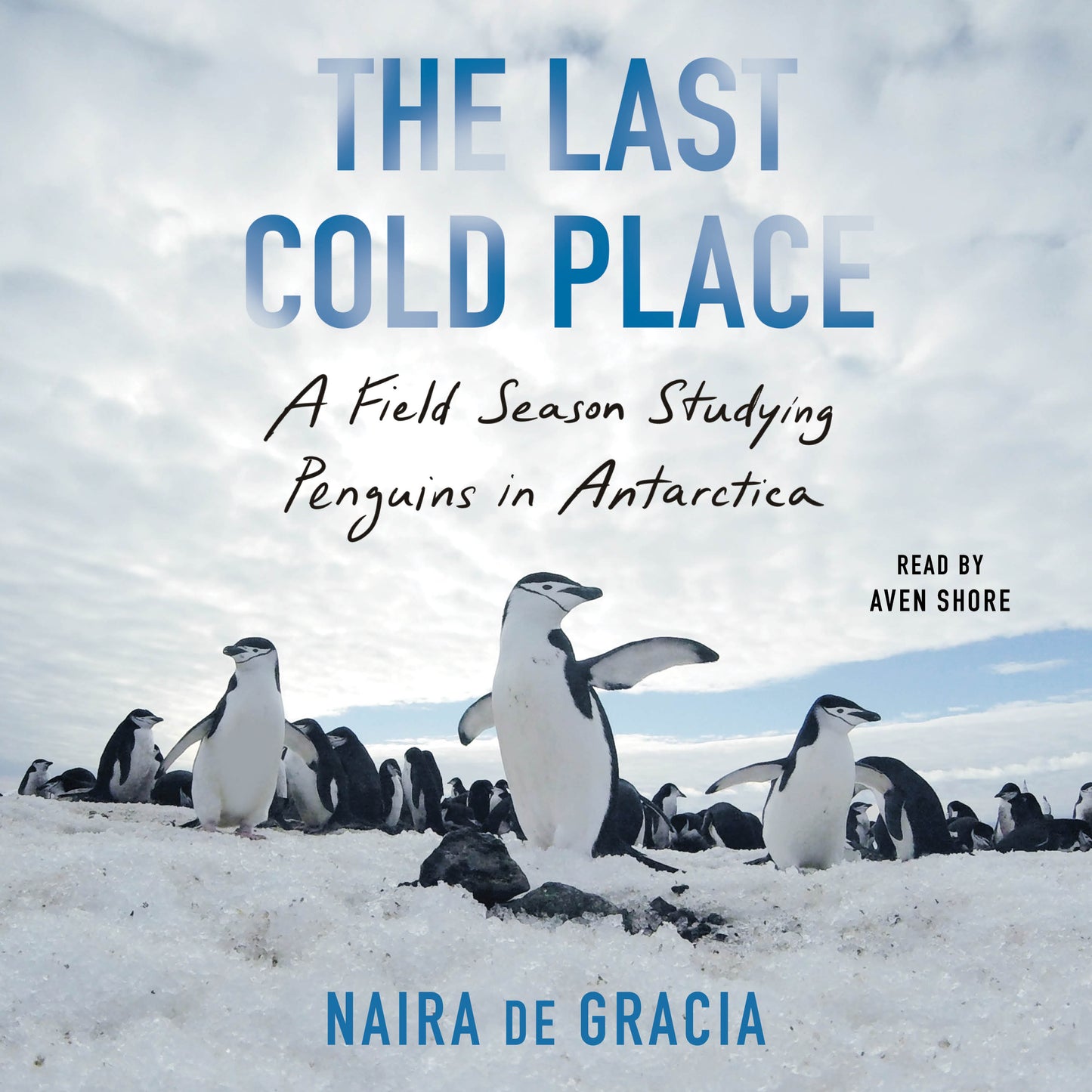 Last Cold Place: A Field Season Studying Penguins in Antarctica
