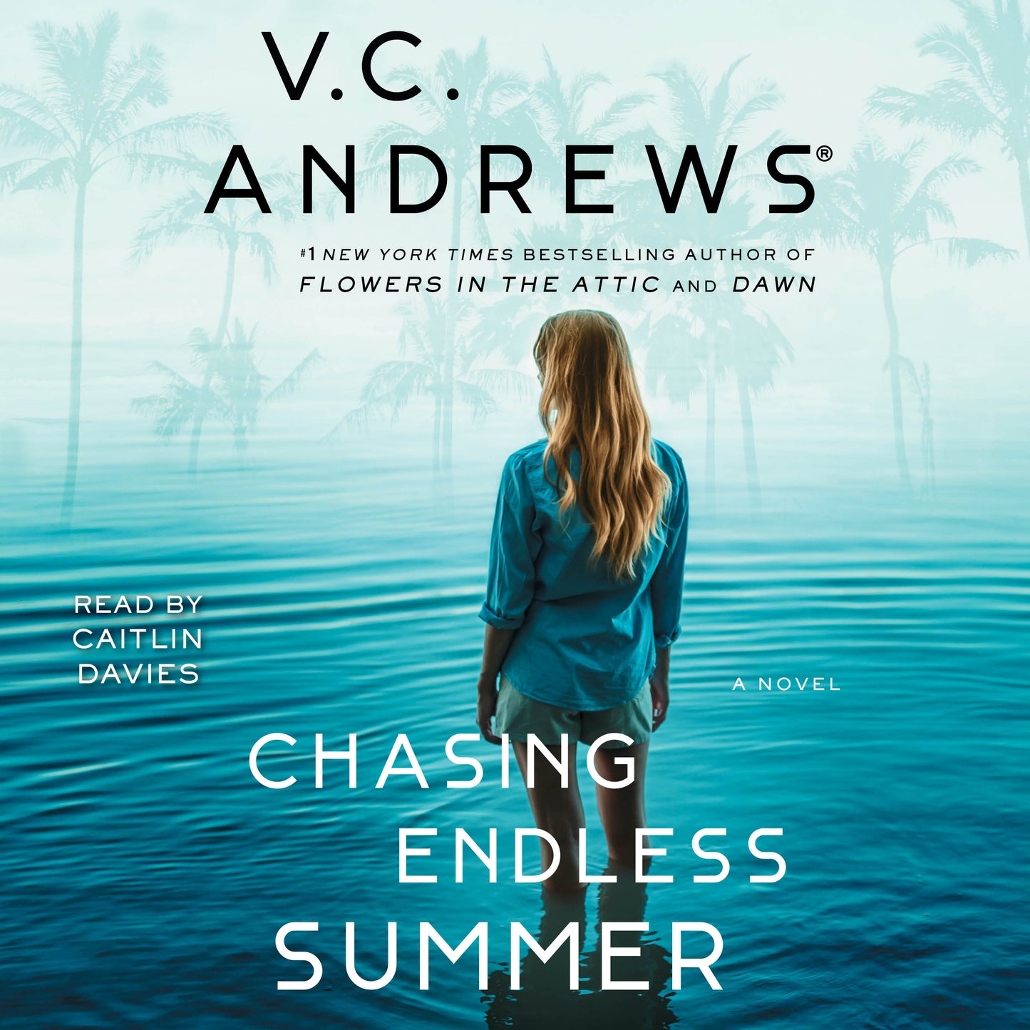 Chasing Endless Summer