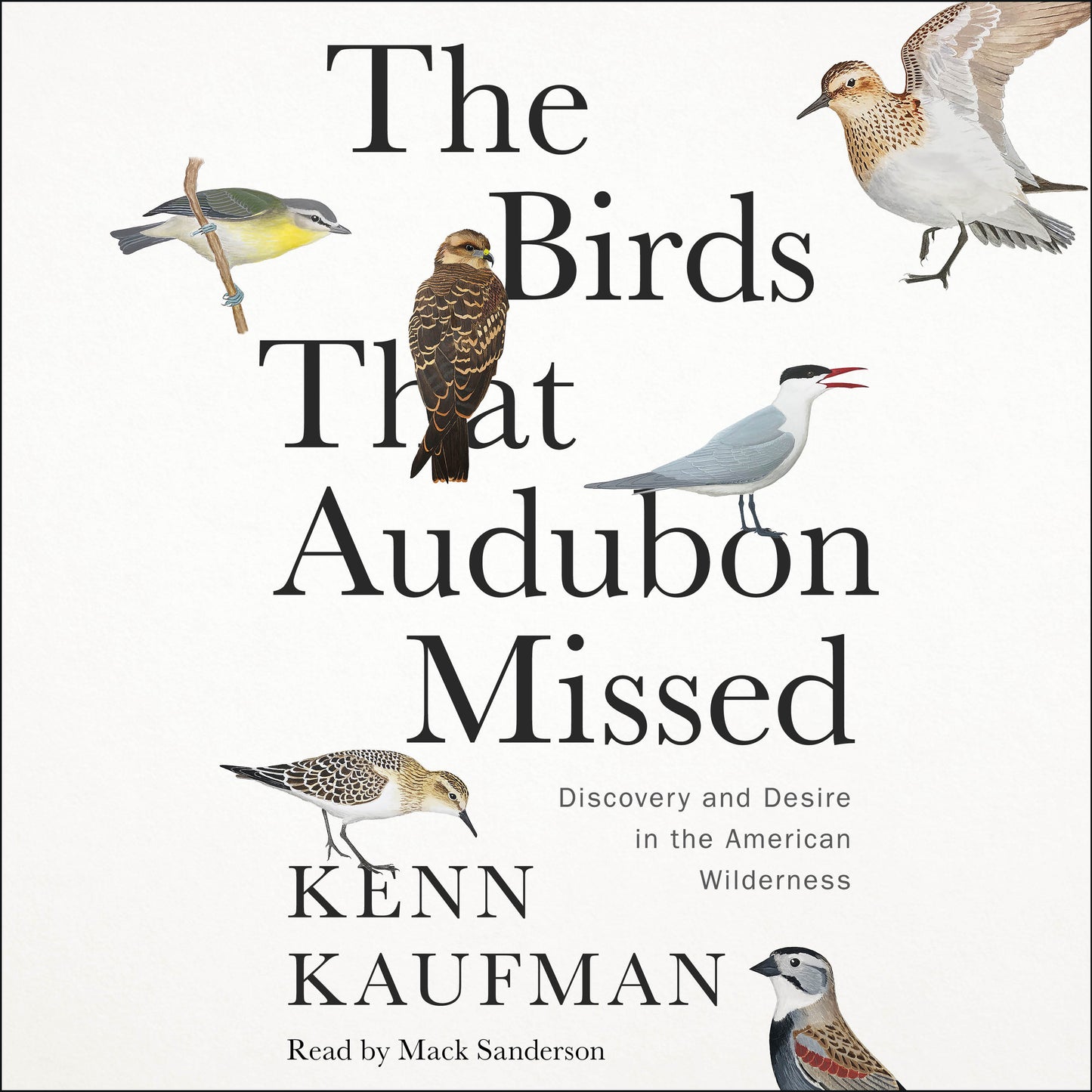Birds That Audubon Missed: Discovery and Desire in the American Wilderness