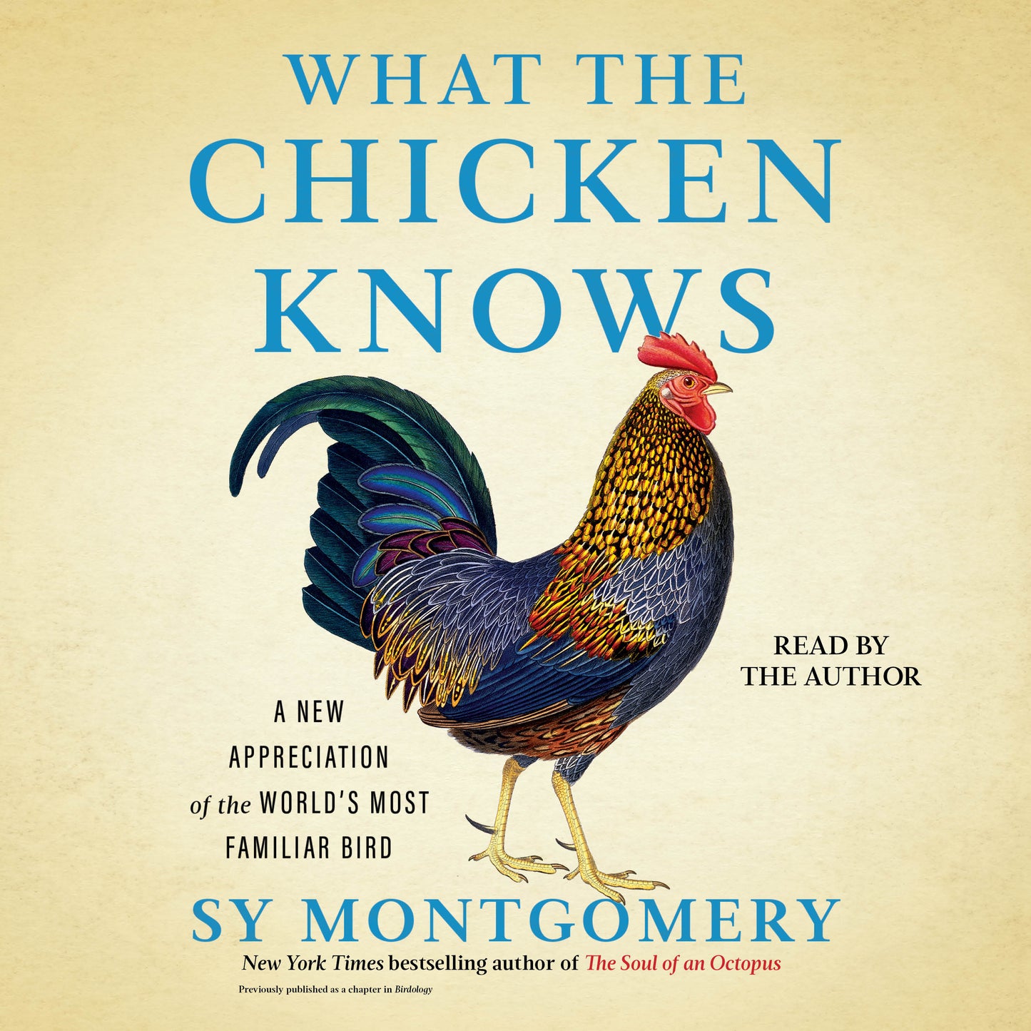 What the Chicken Knows