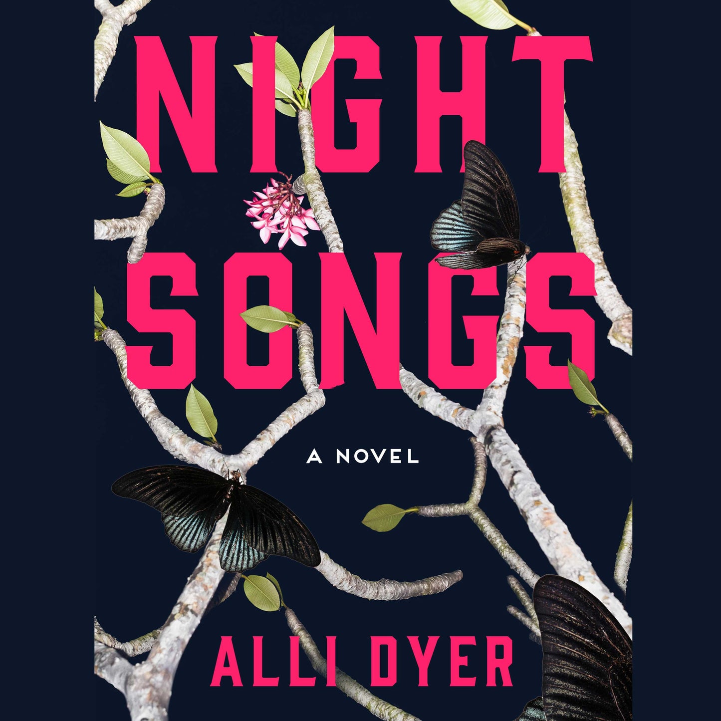 Night Songs