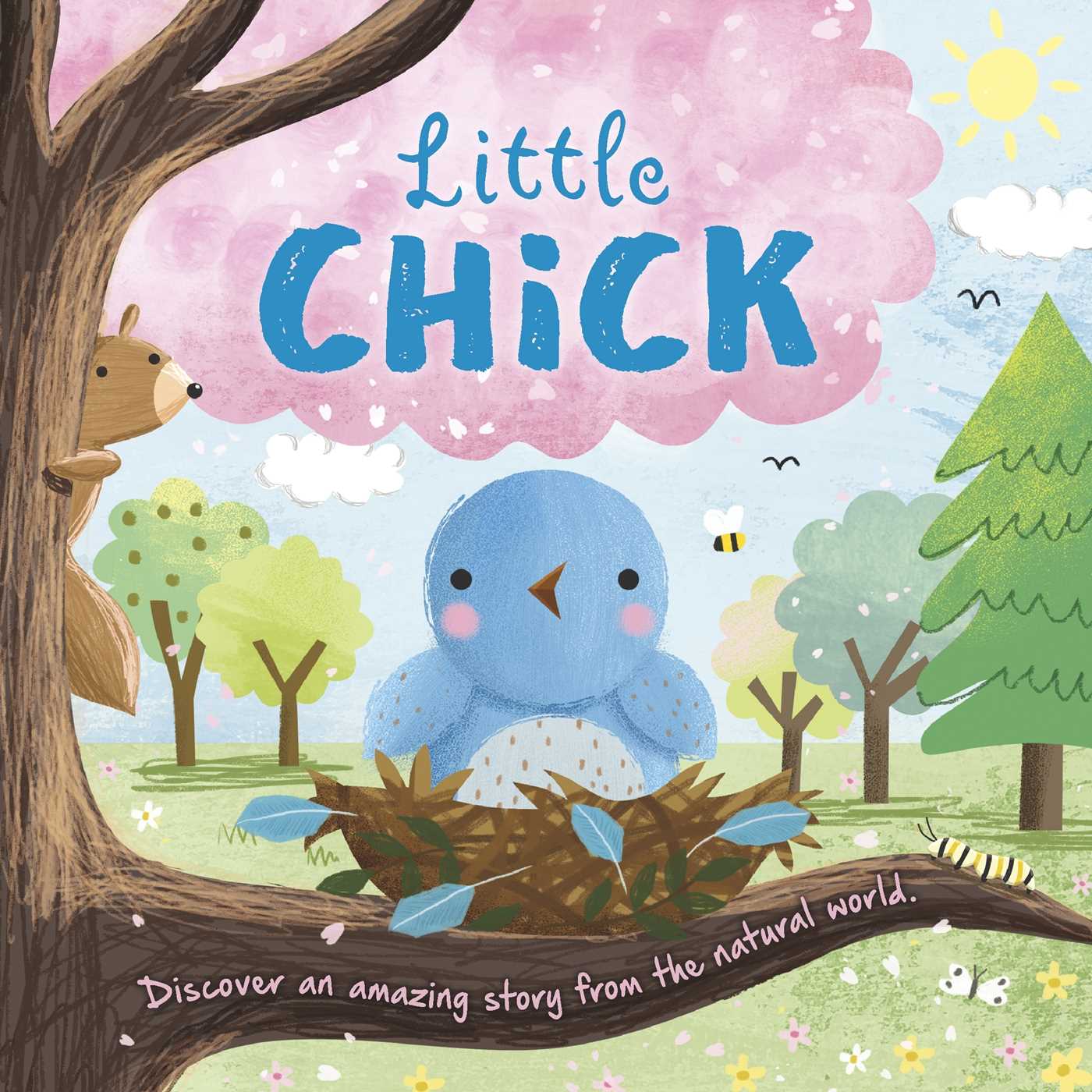 Nature Stories: Little Chick-Discover an Amazing Story from the Natural World