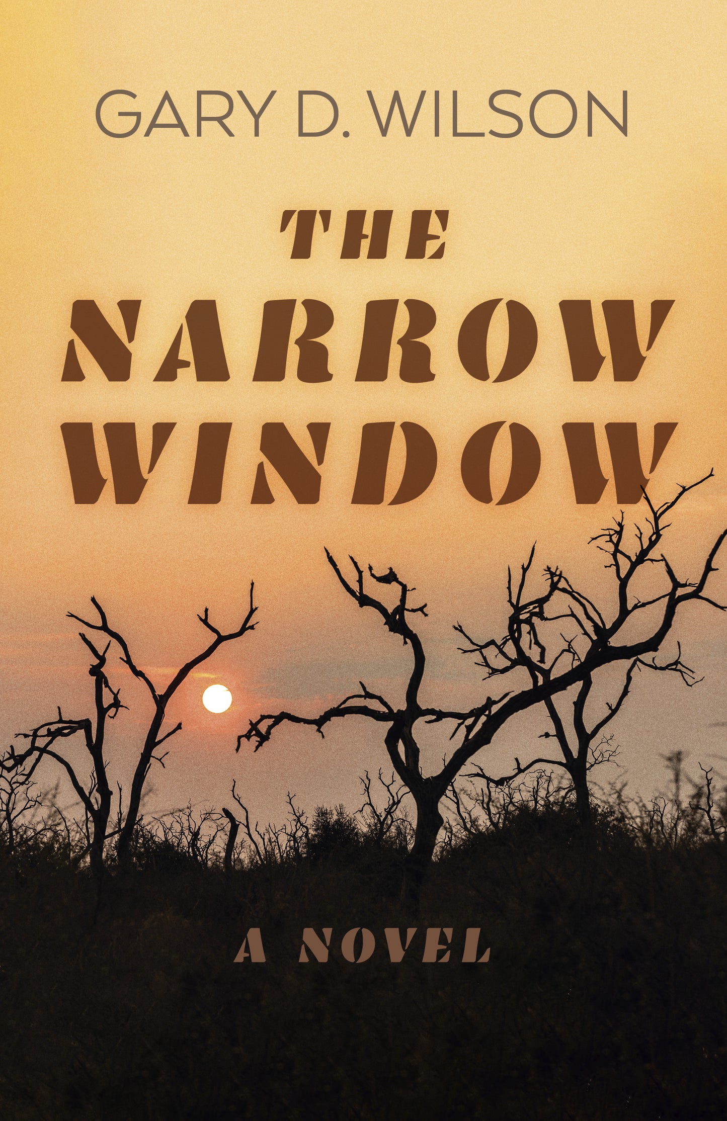 Narrow Window: A Novel