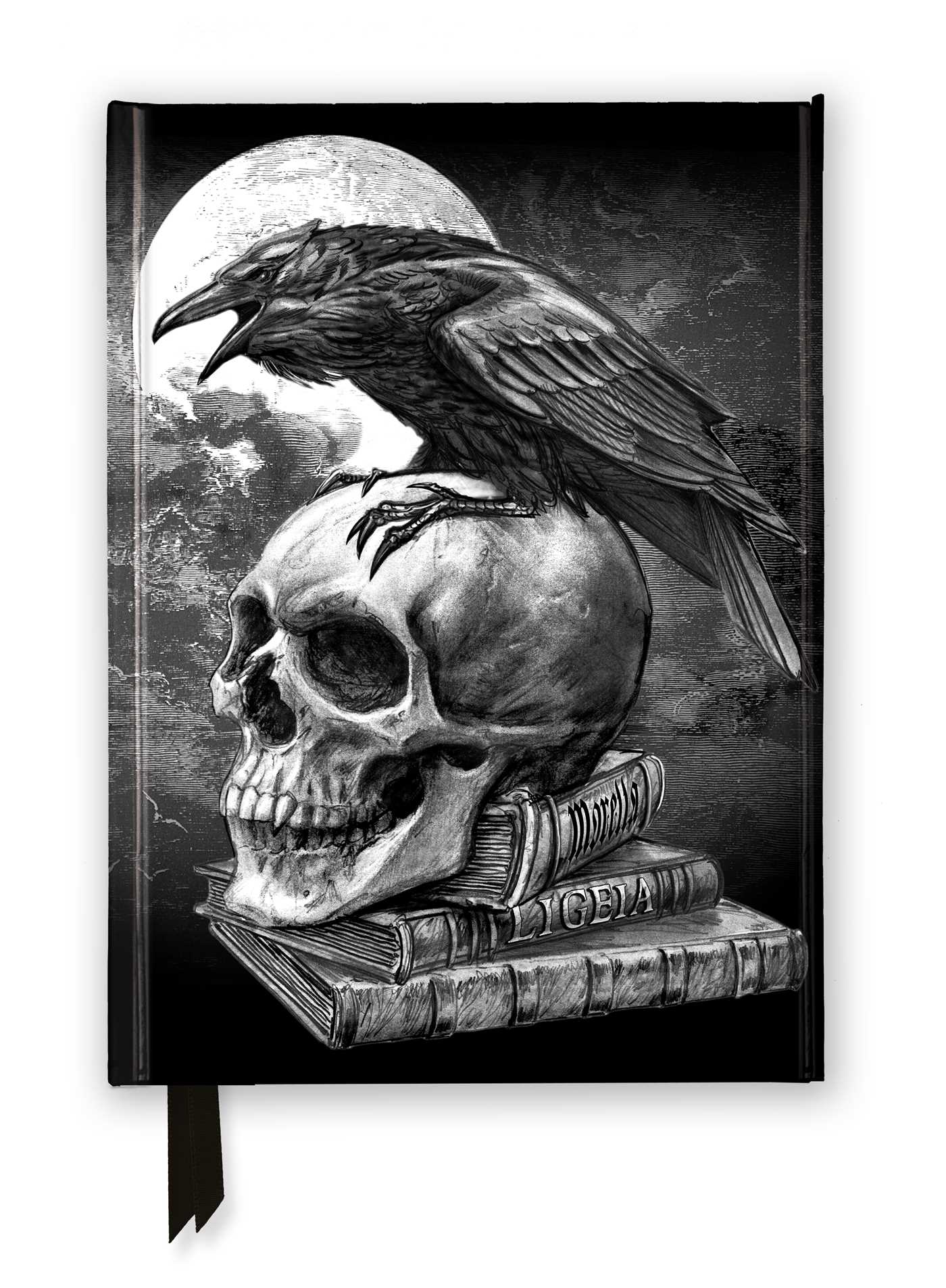 Alchemy: Poe's Raven (Foiled Journal)