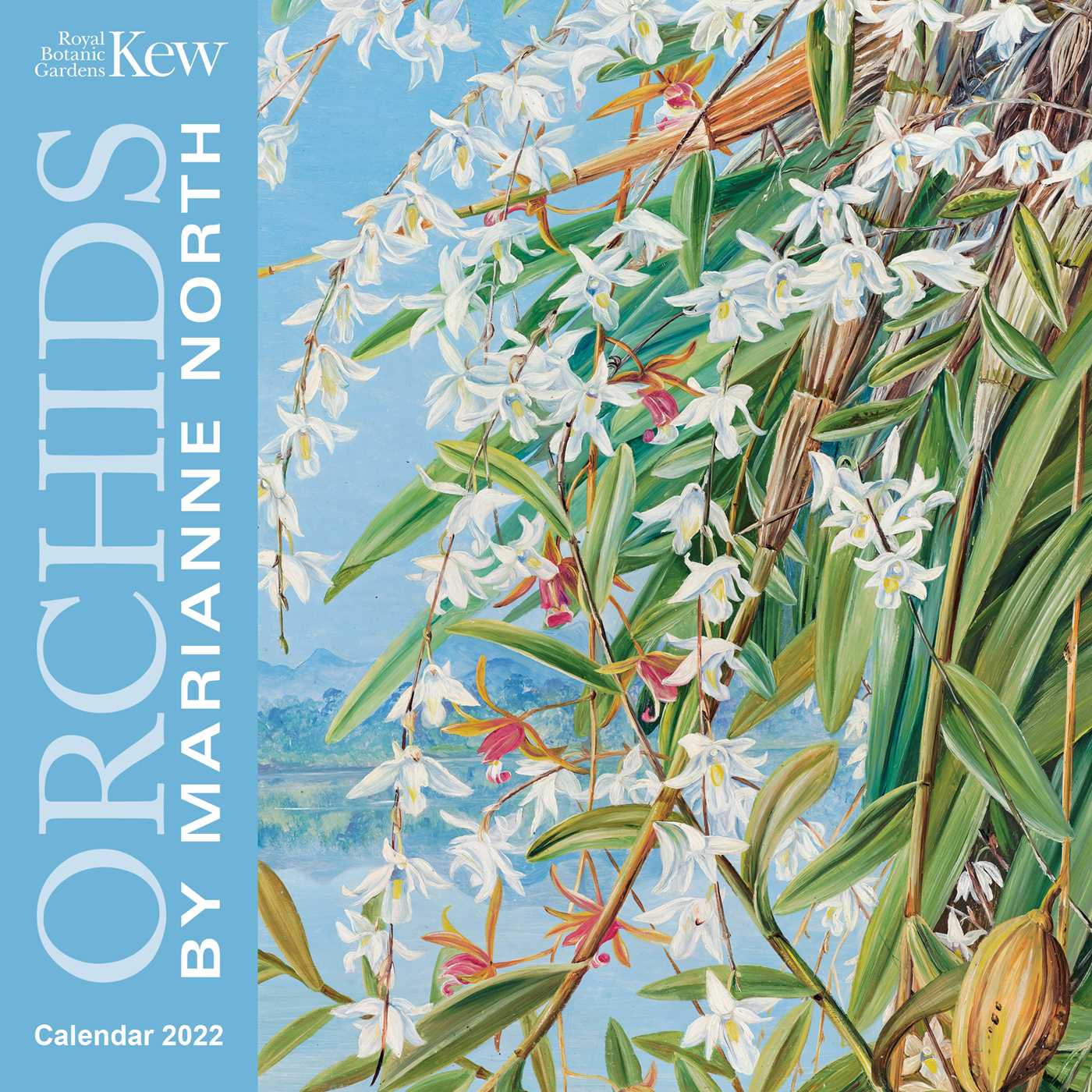 Kew Gardens: Orchids by Marianne North Mini Wall calendar 2022 (Art Calendar)