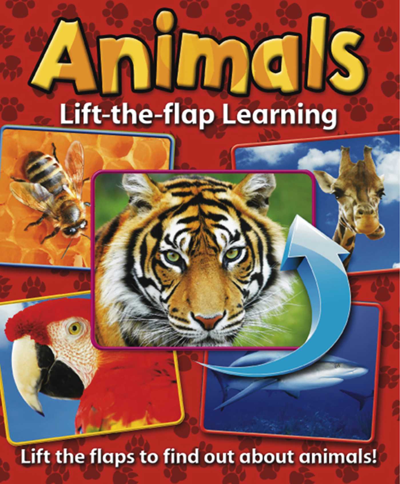 Lift-the-Flap Learning: Animals