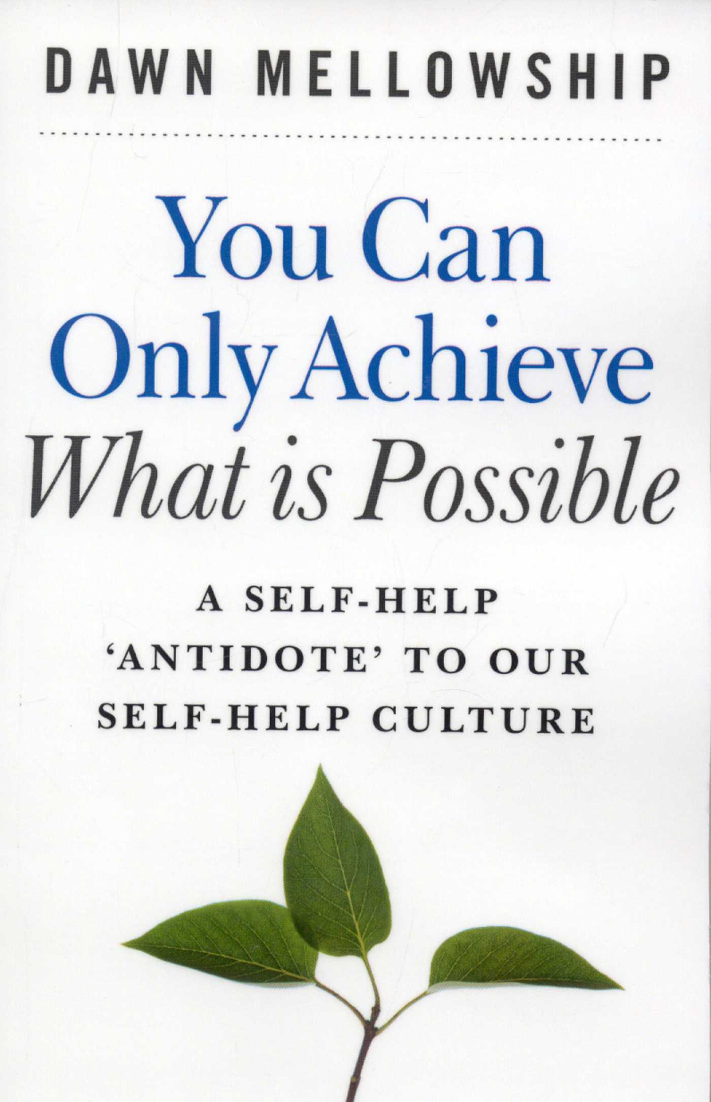 You Can Only Achieve What is Possible