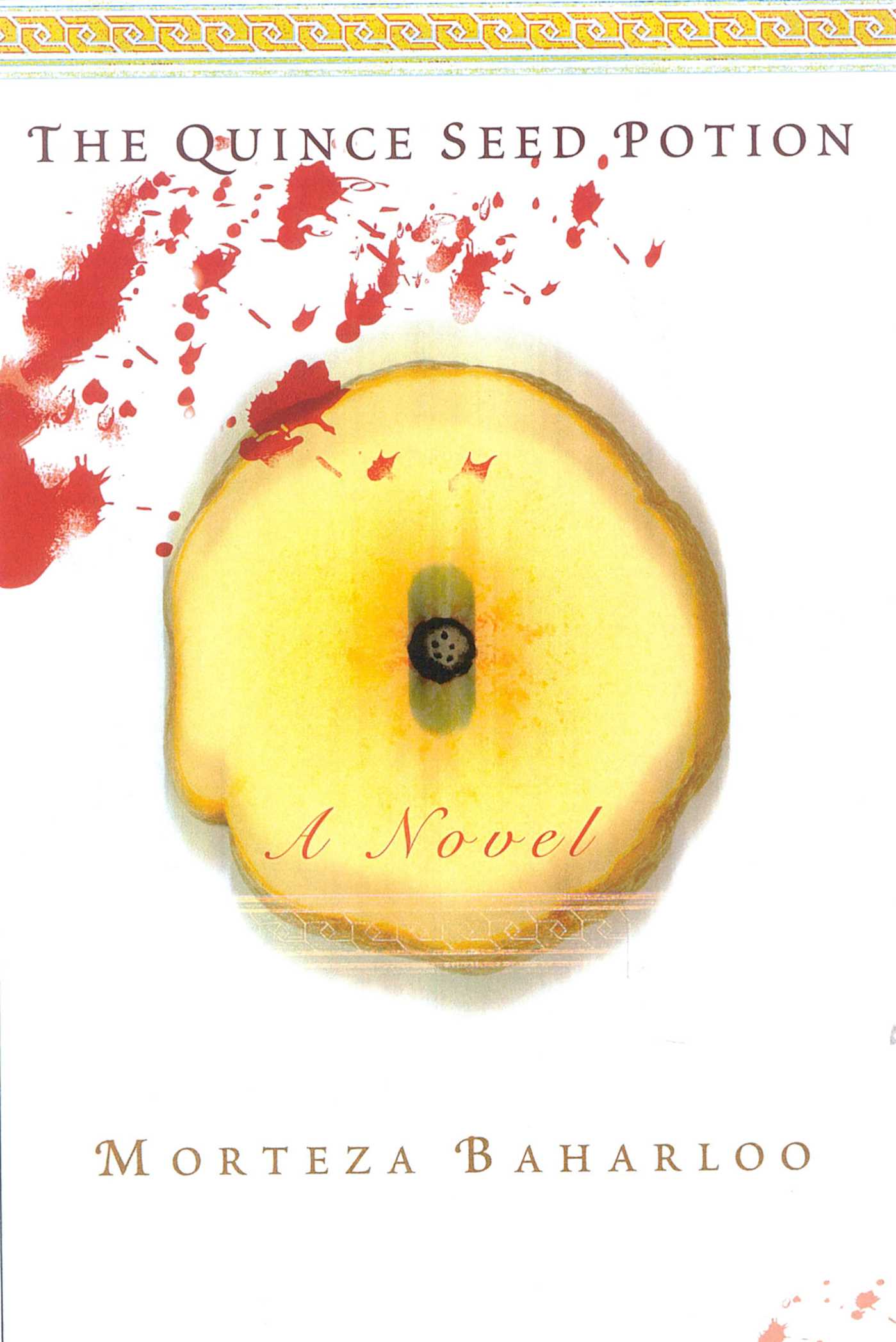 Quince Seed Potion: A Novel