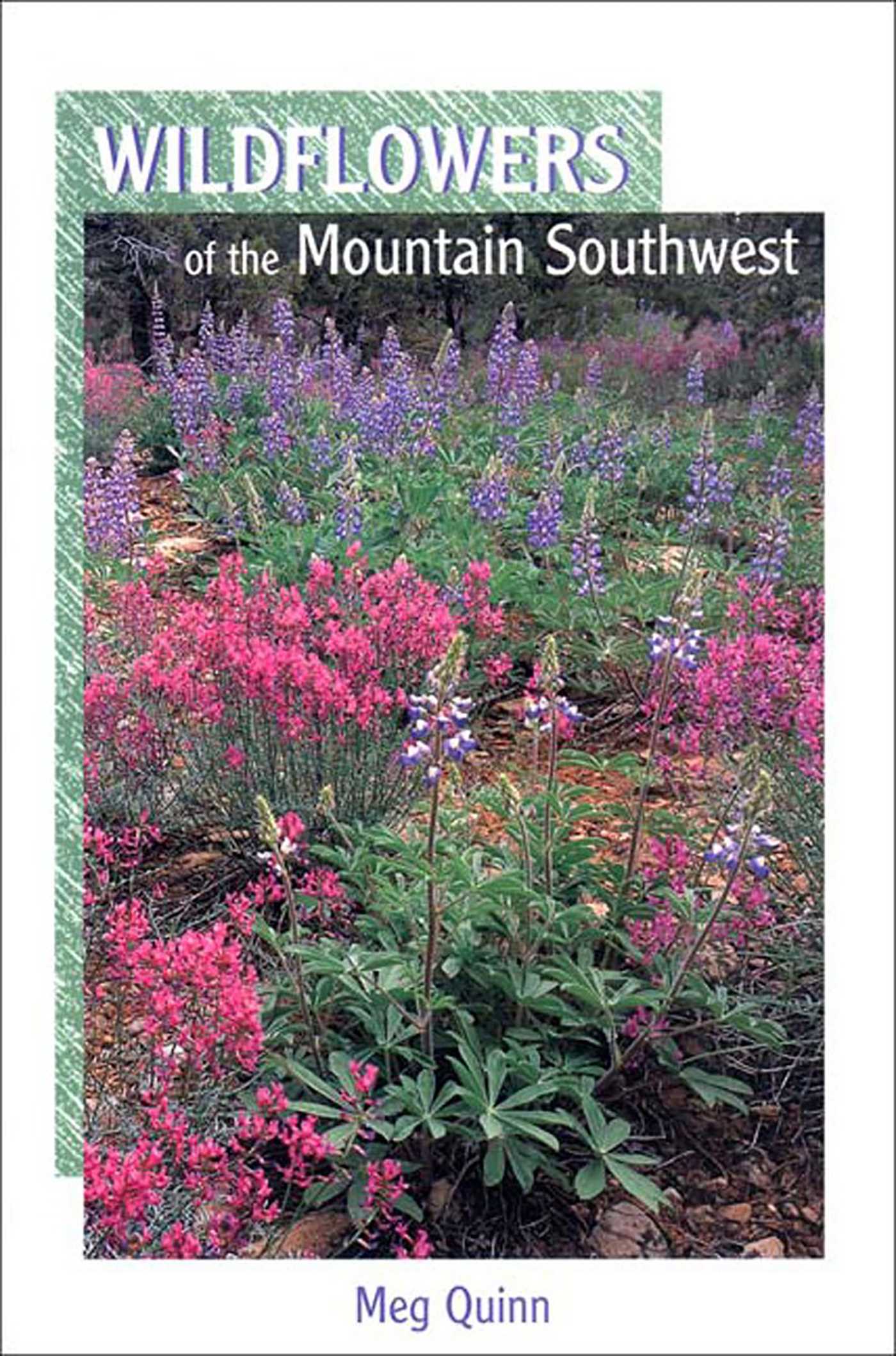 Wildflowers of the Mountain Southwest