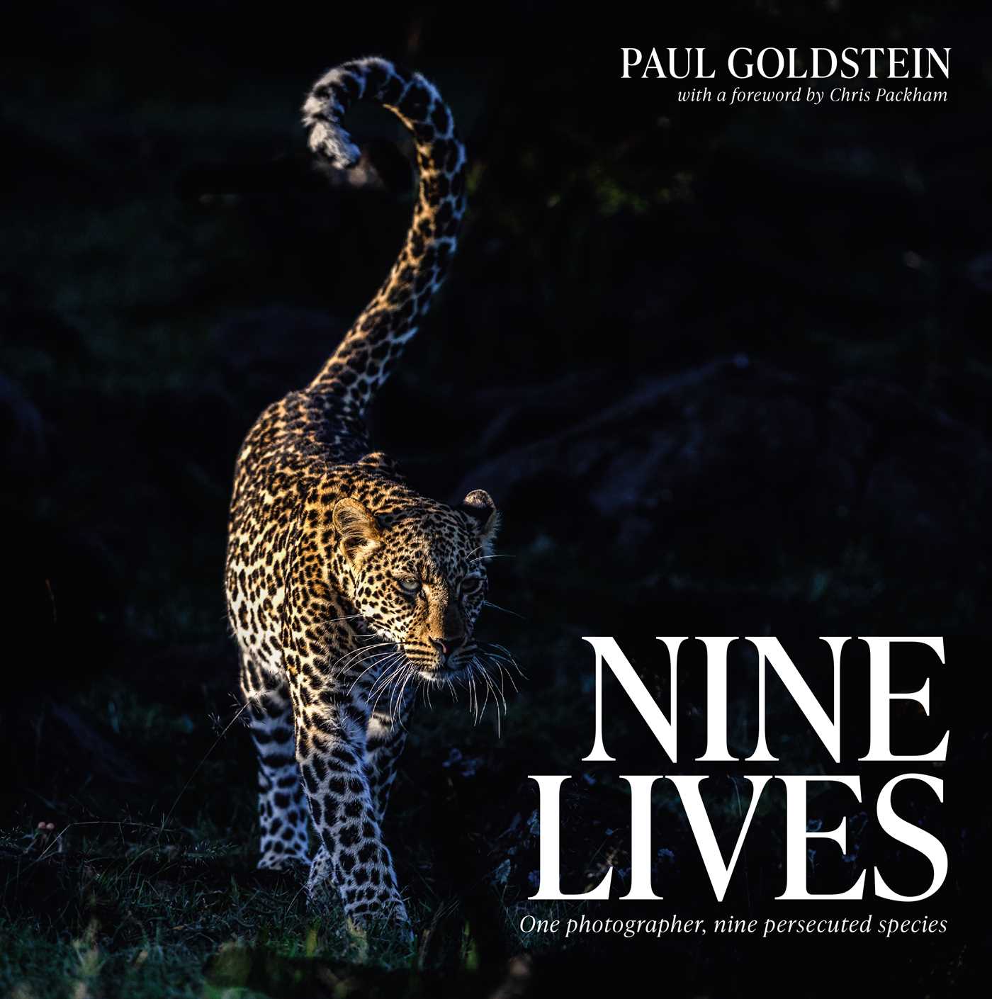 Nine Lives