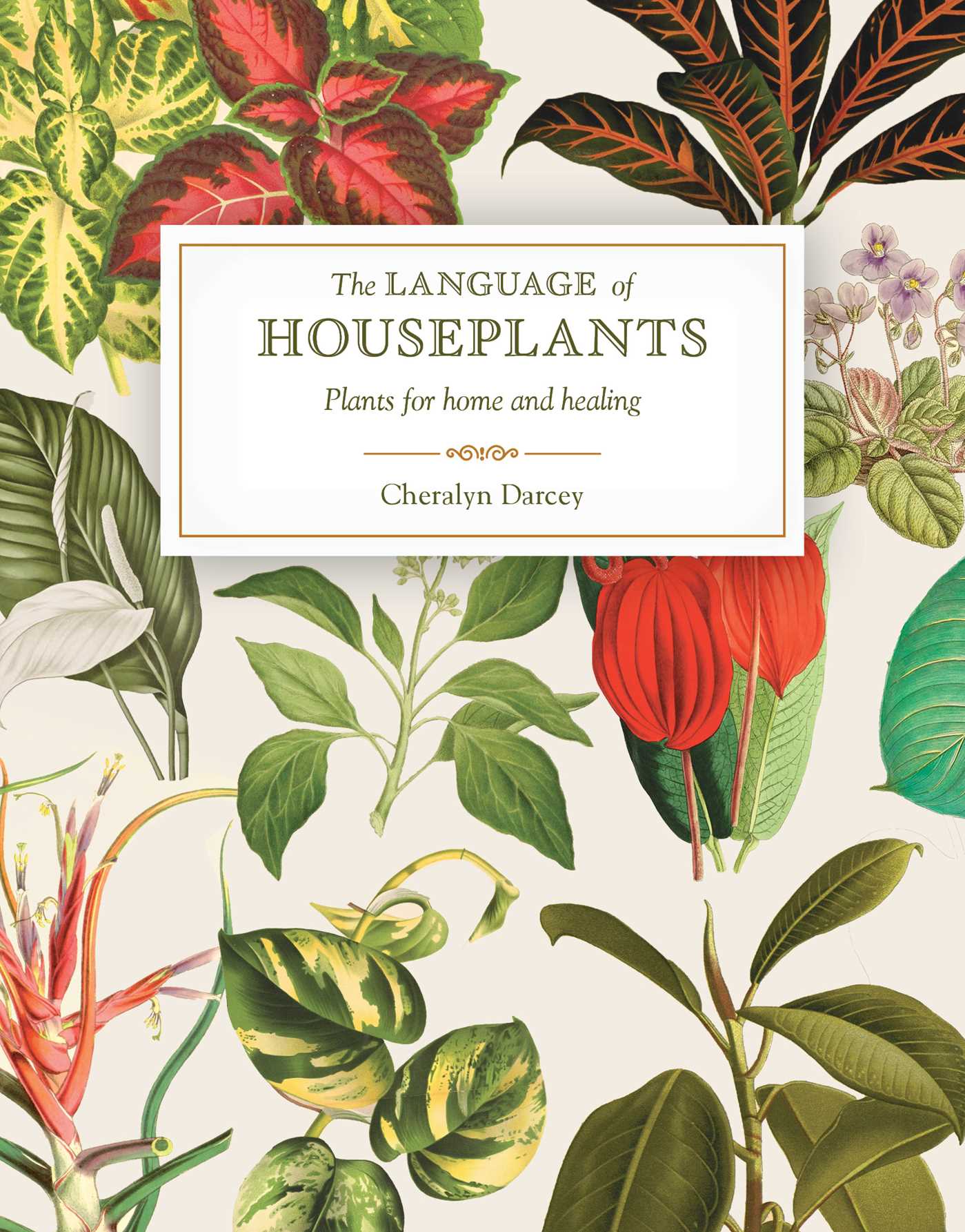 Language of Houseplants: Plants for home and healing