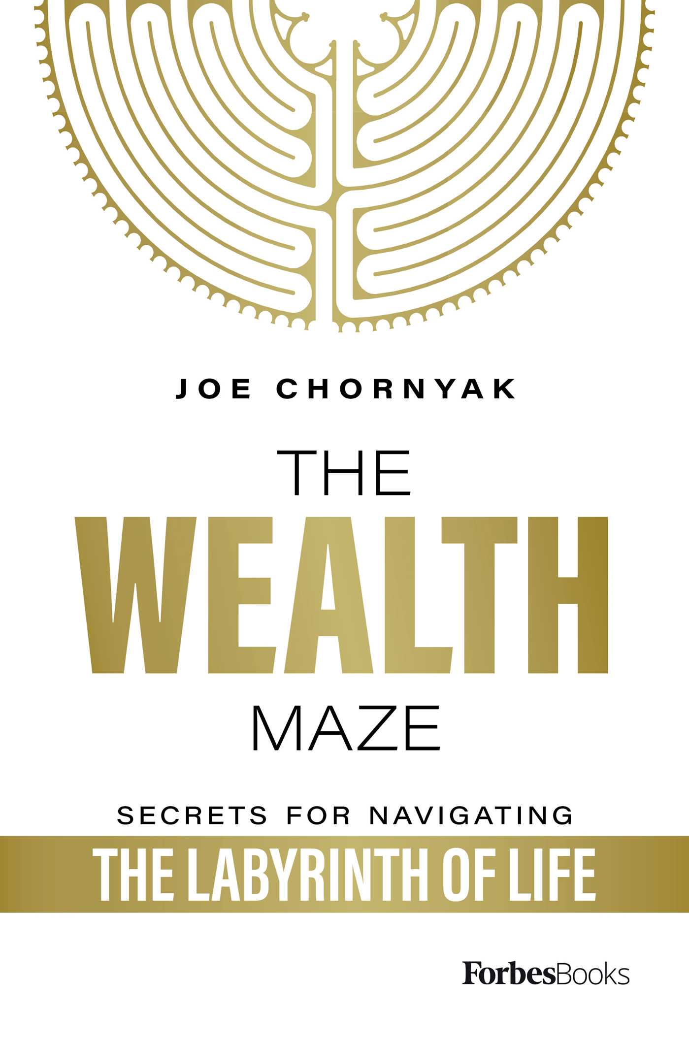 Wealth Maze: Secrets for Navigating the Labyrinth of Life