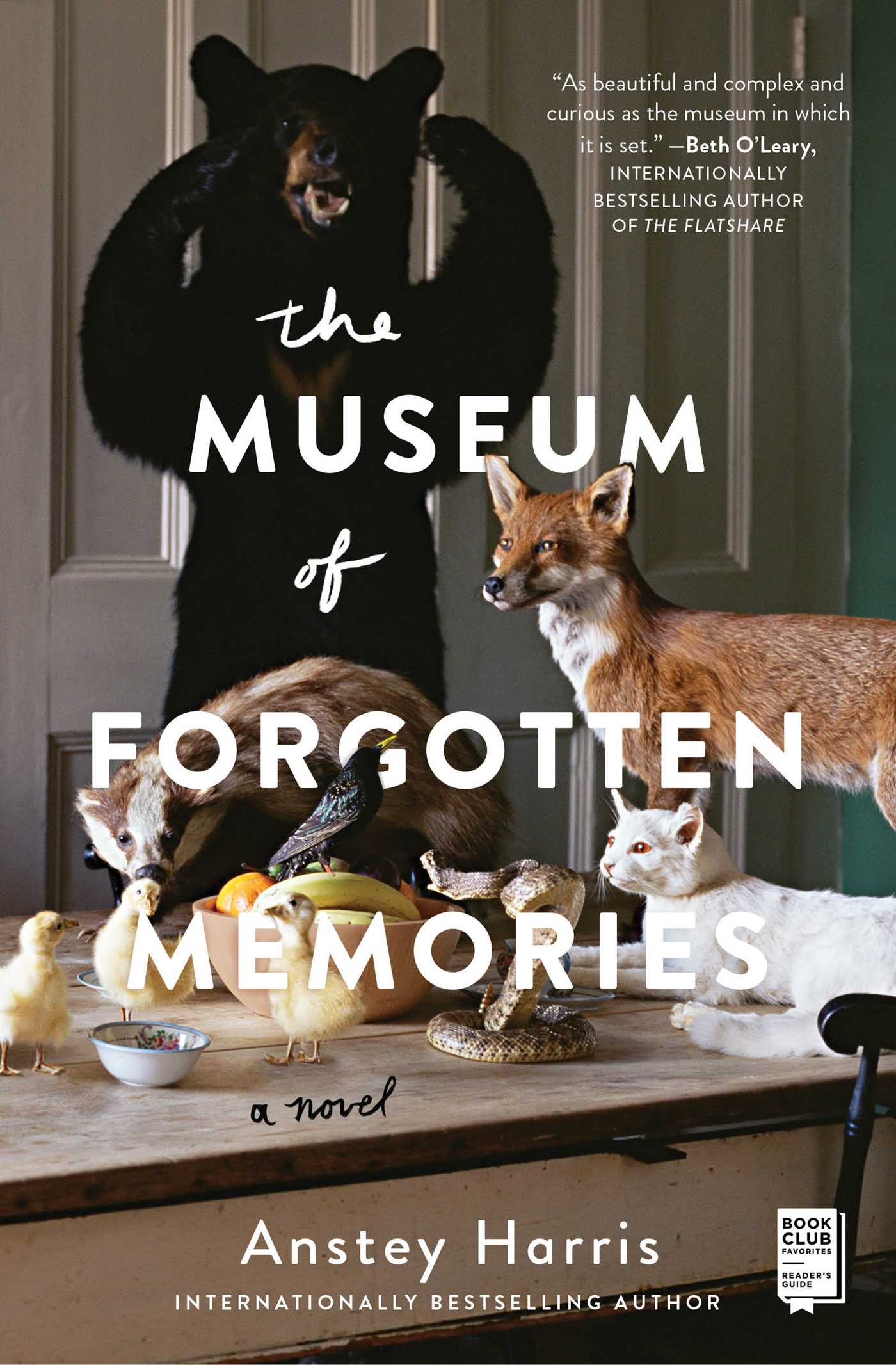 Museum of Forgotten Memories: A Novel