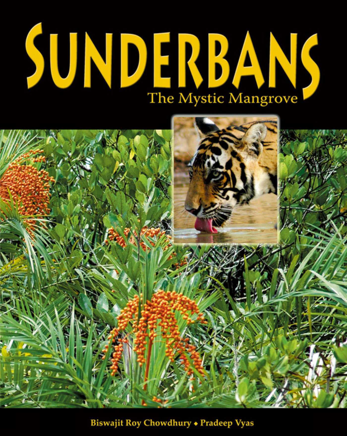 Sunderbans