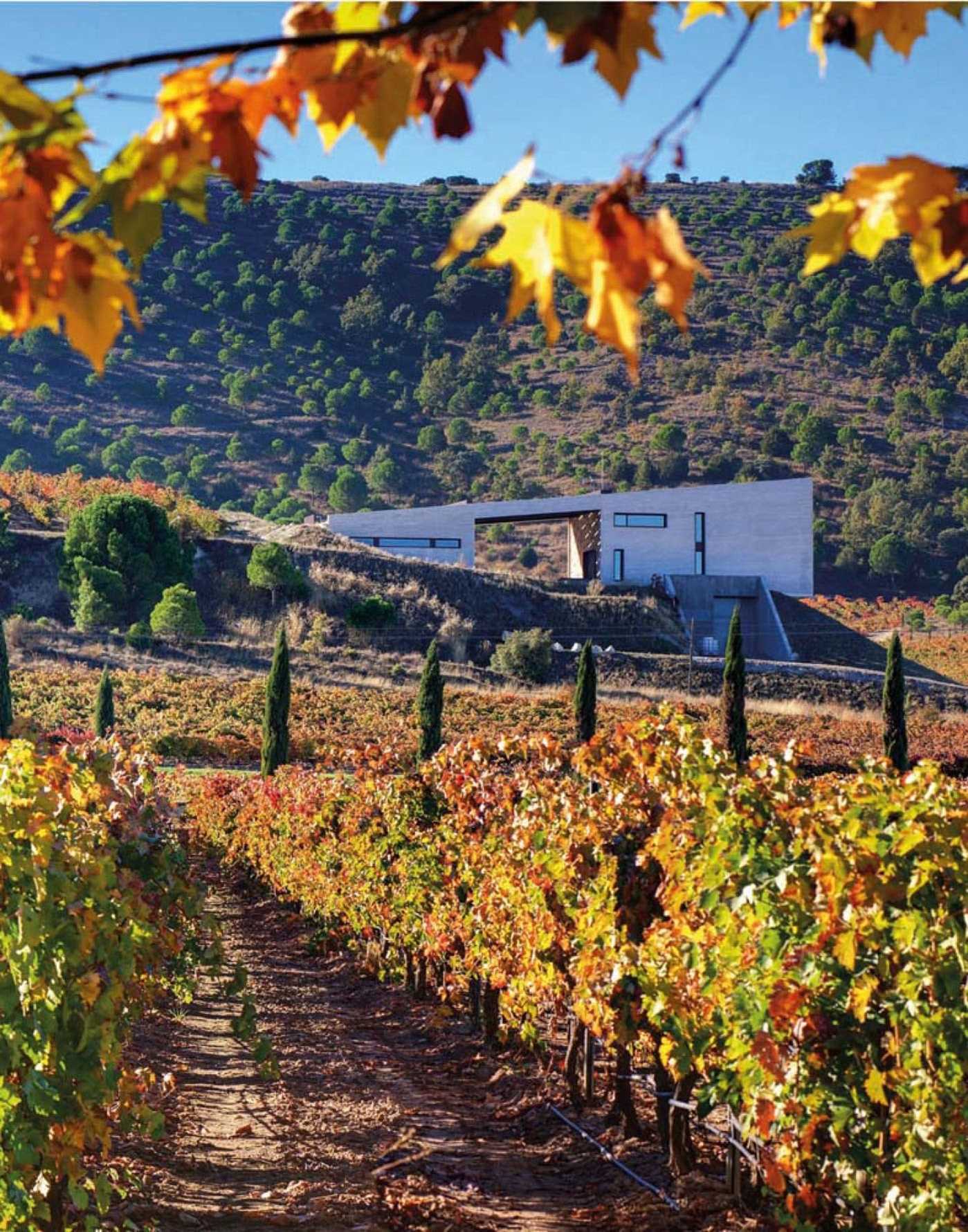 World Winery Collection: Innovative design, sustainability and the landscape