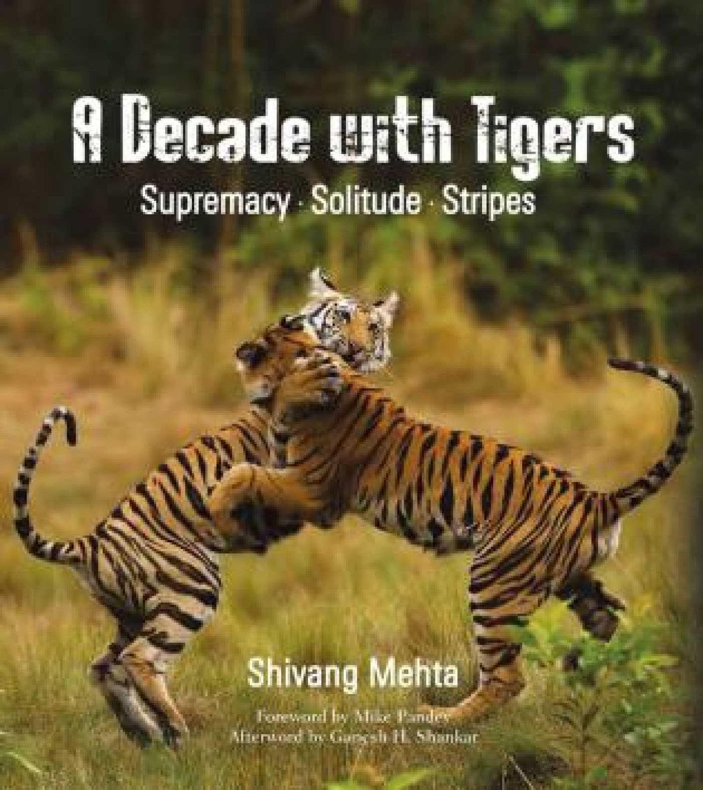 Decade with Tigers: Supremacy. Solitude. Stripes