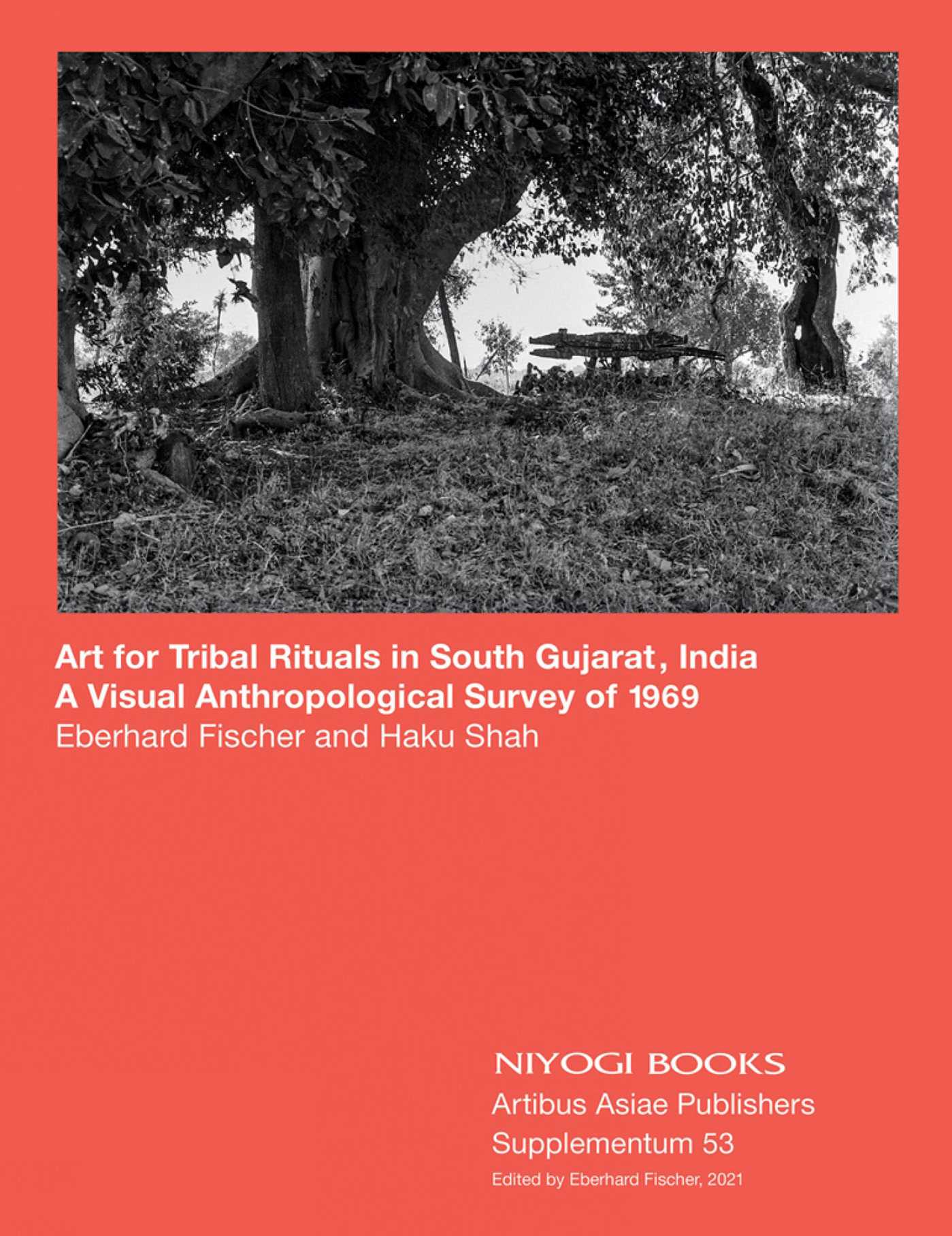 Art for Tribal Rituals in South Gujarat, India