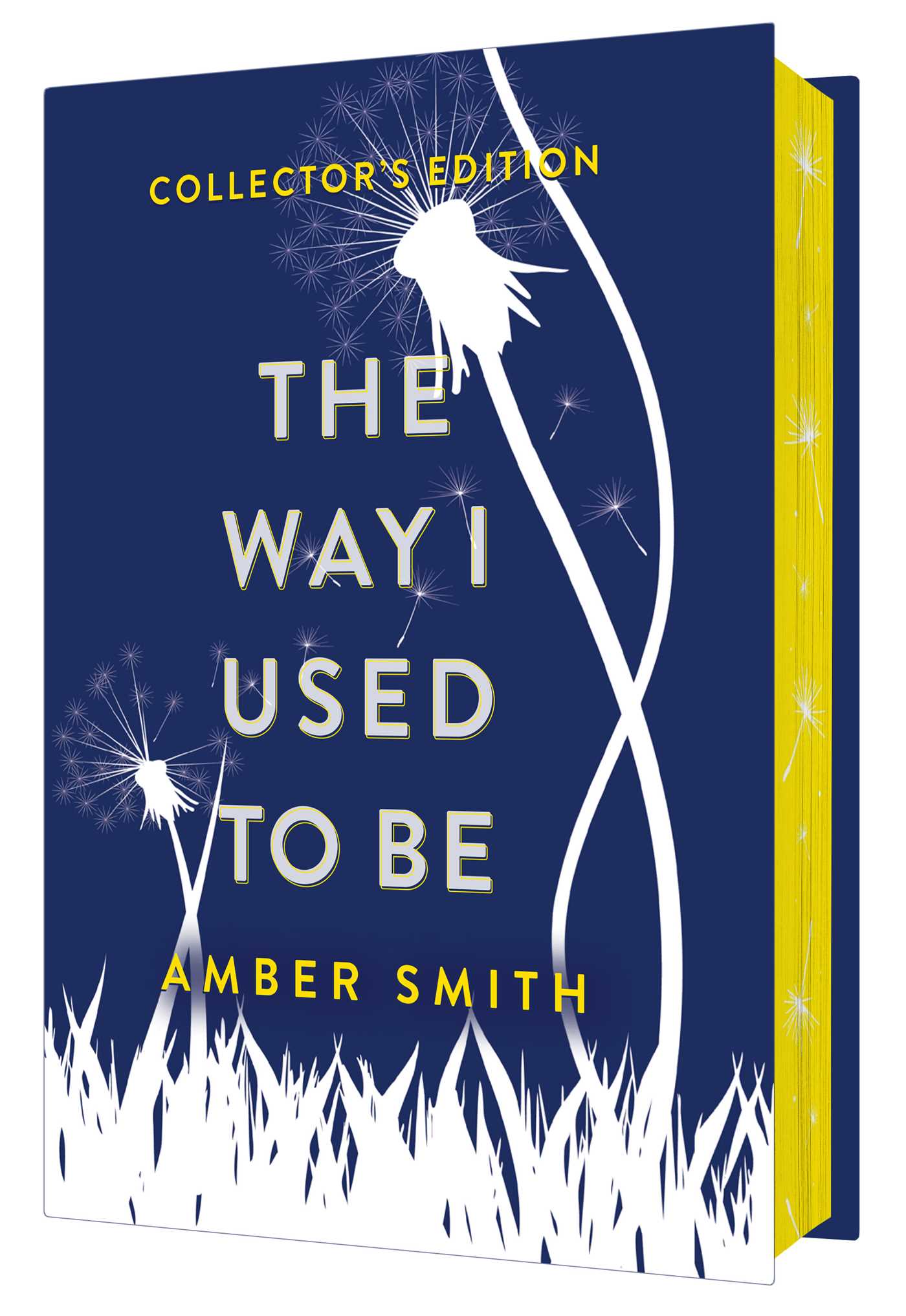 Way I Used to Be (Collector's Edition)