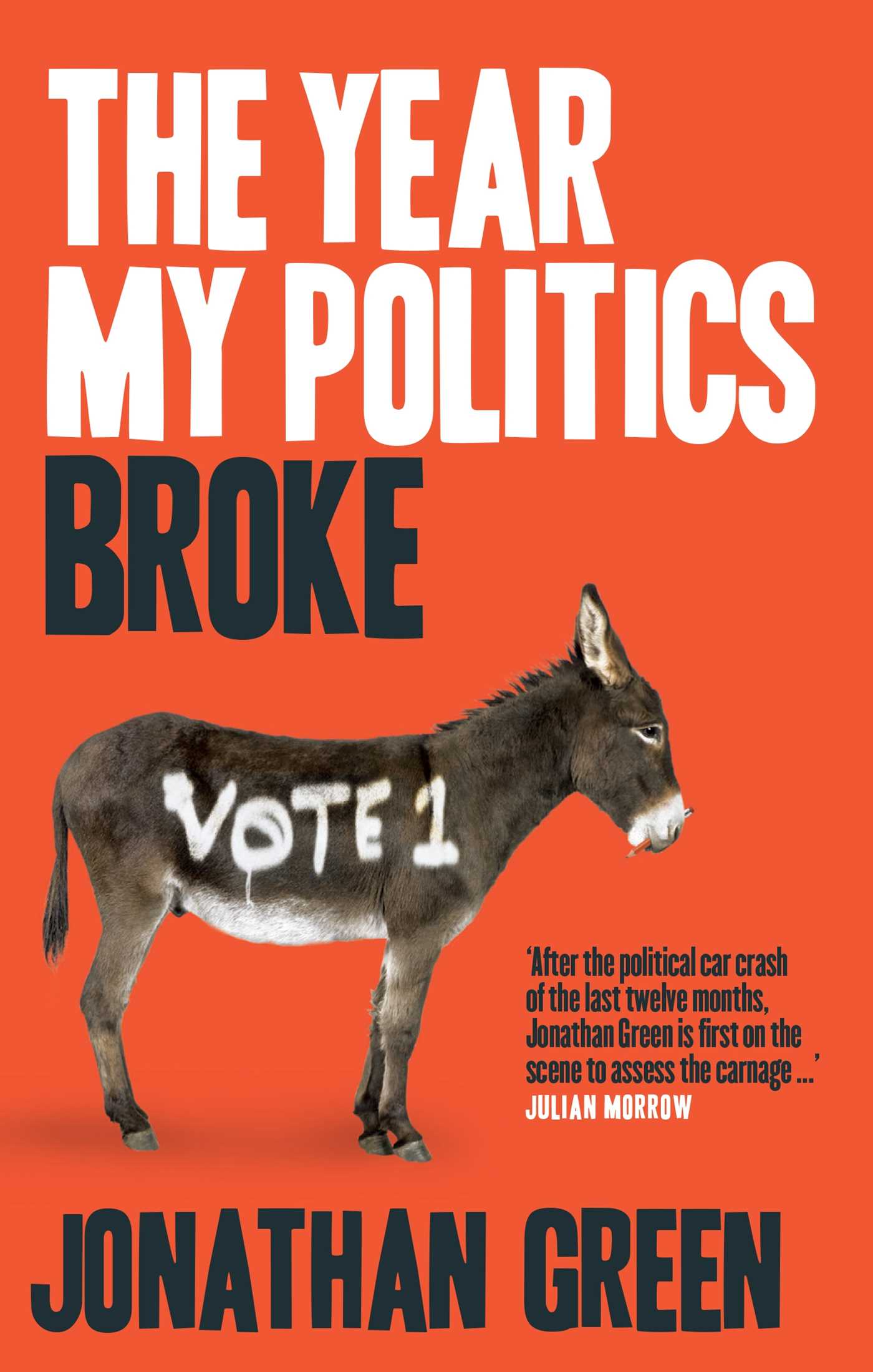 Year My Politics Broke