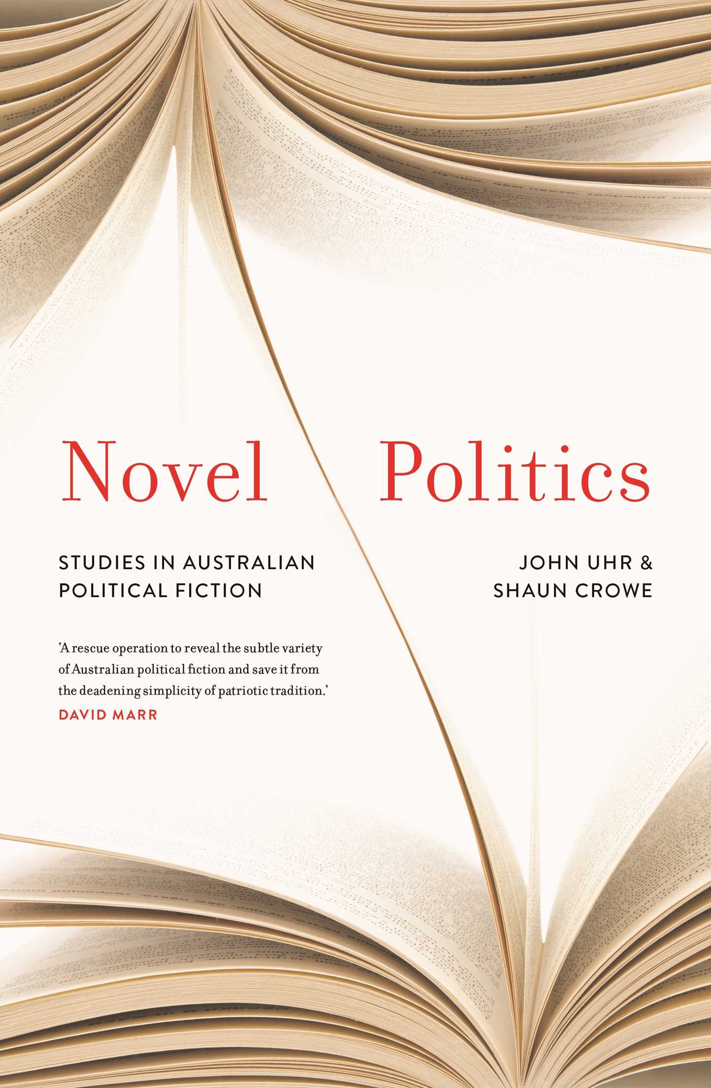 Novel Politics