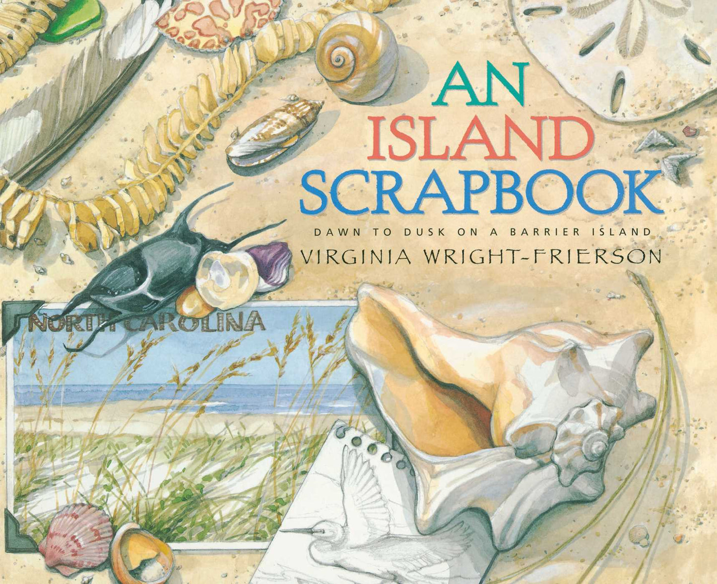 Island Scrapbook: Dawn to Dusk on a Barrier Island