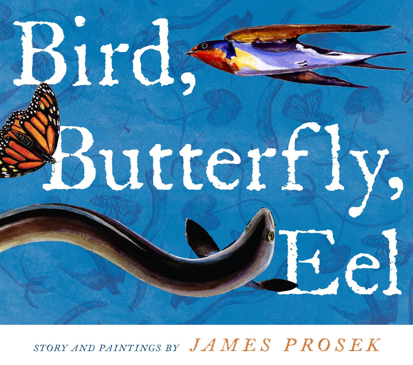 Bird, Butterfly, Eel
