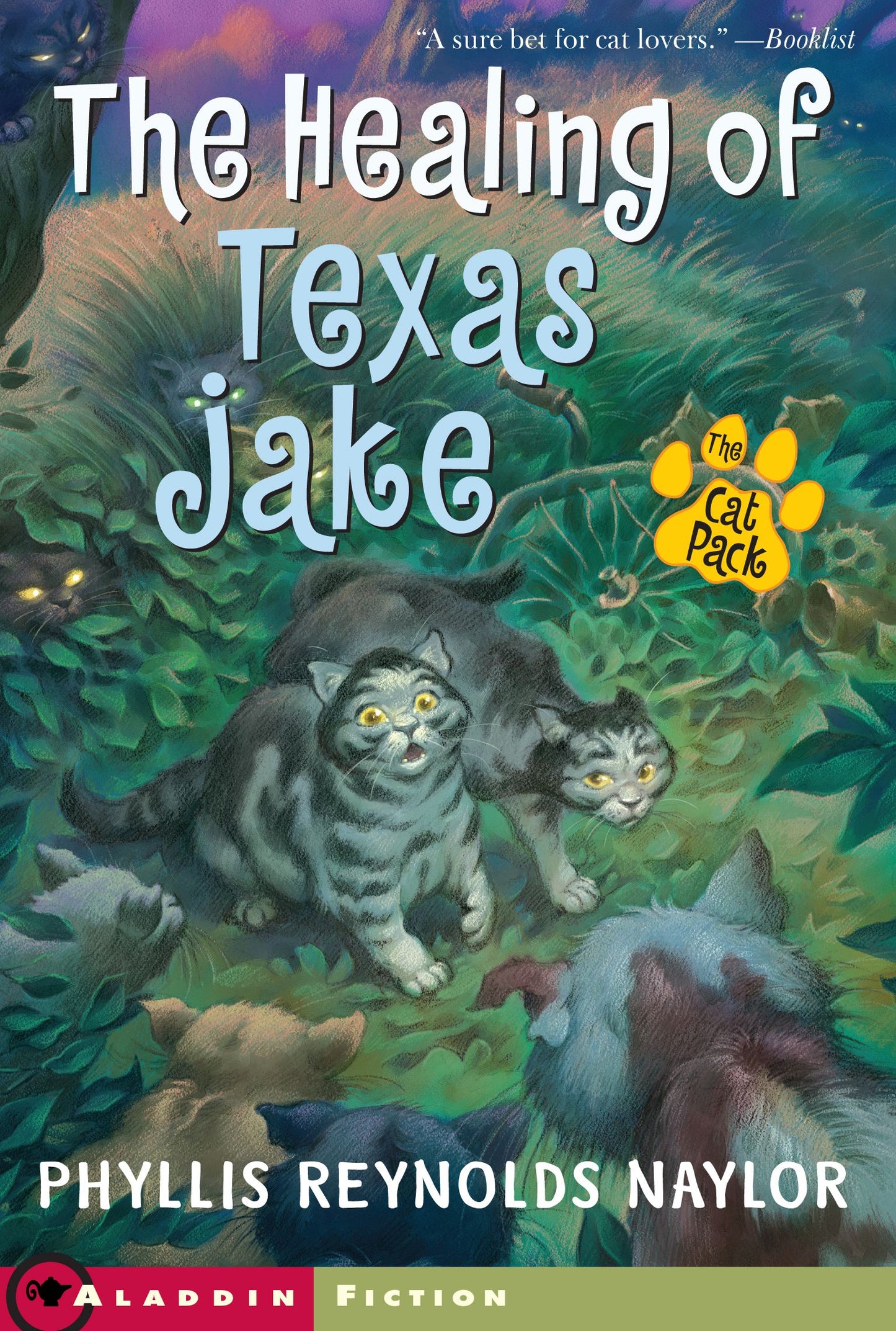 Healing of Texas Jake