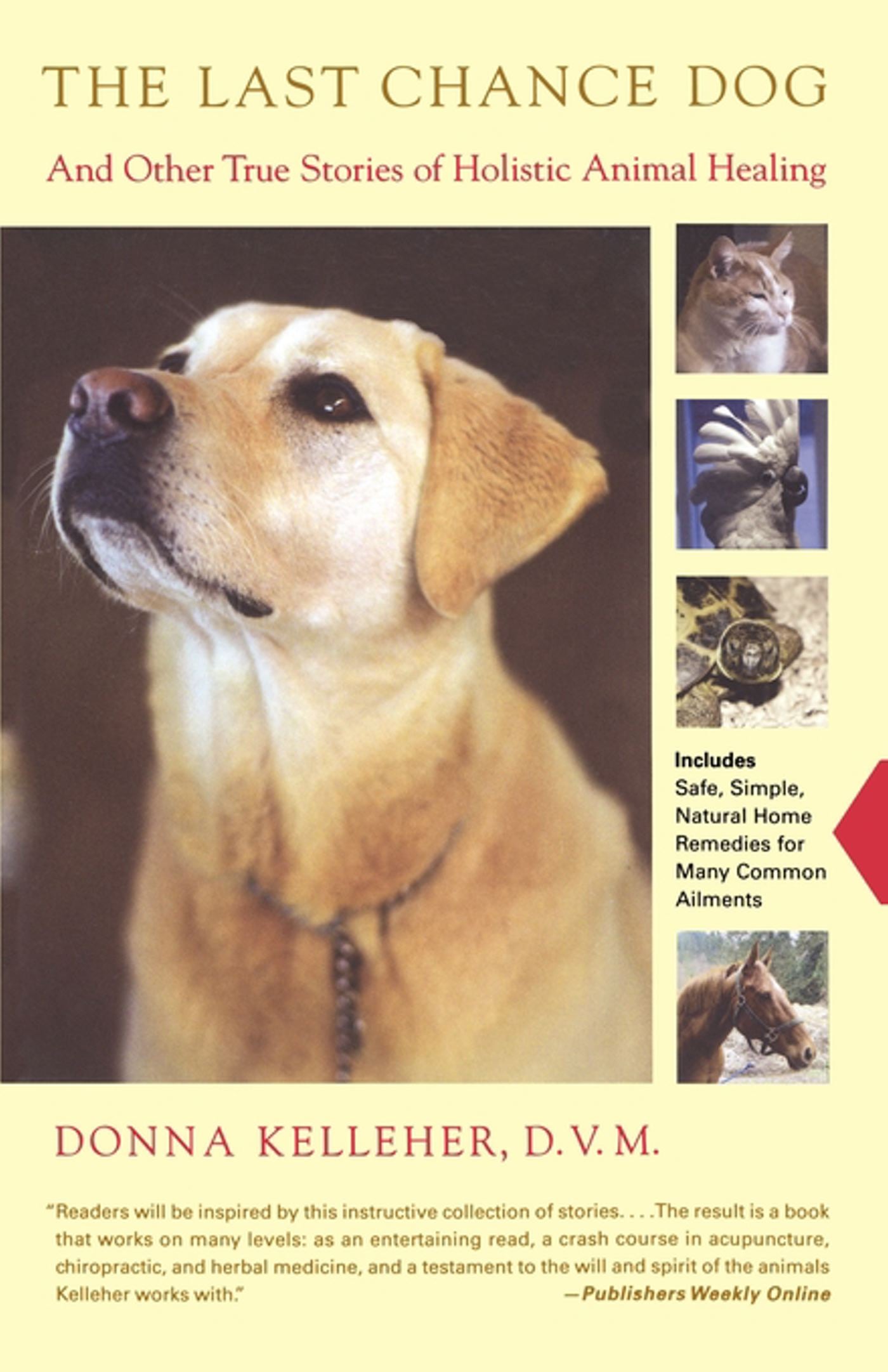 Last Chance Dog: and Other True Stories of Holistic Animal Healing