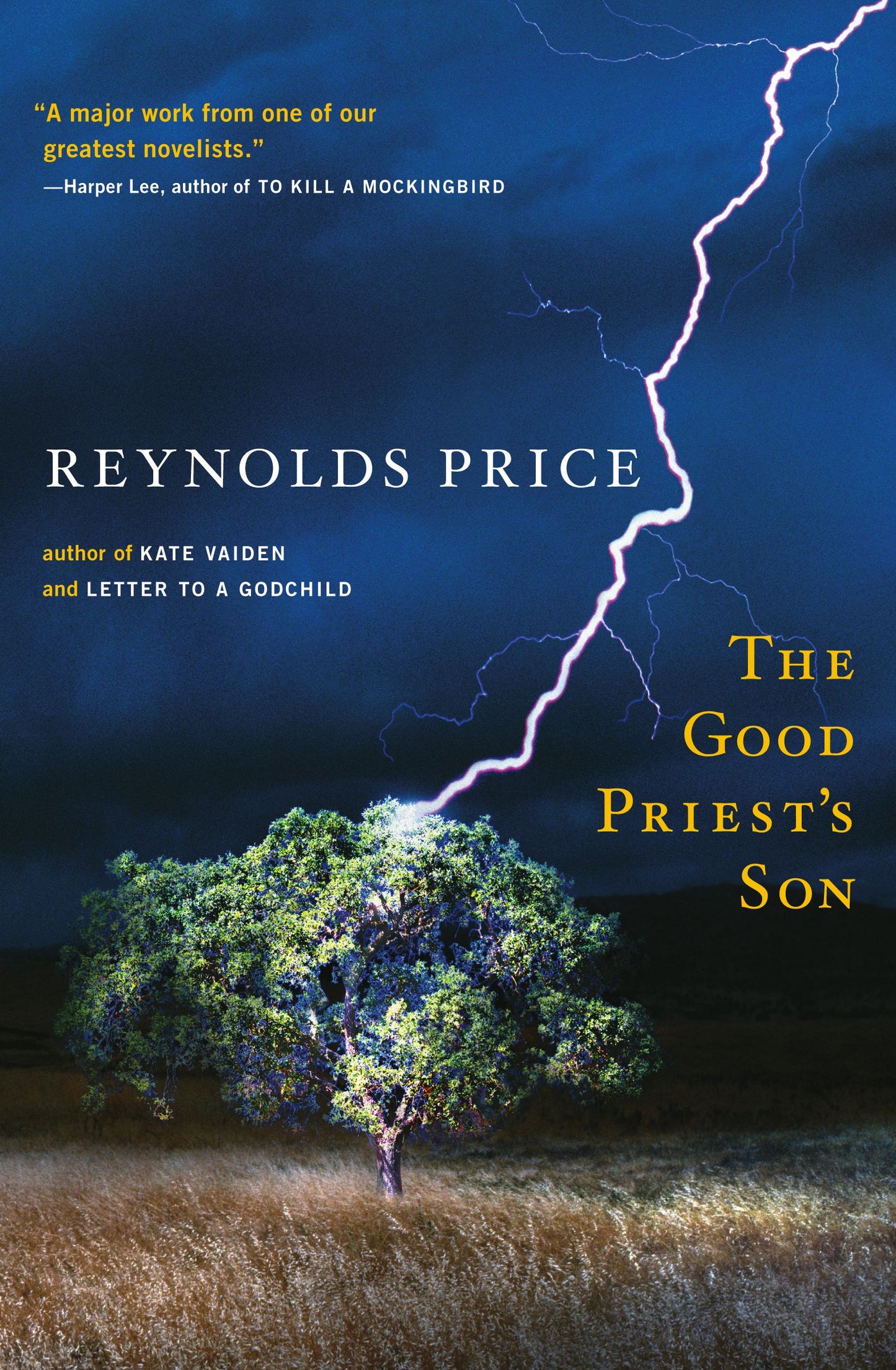 Good Priest's Son: A Novel