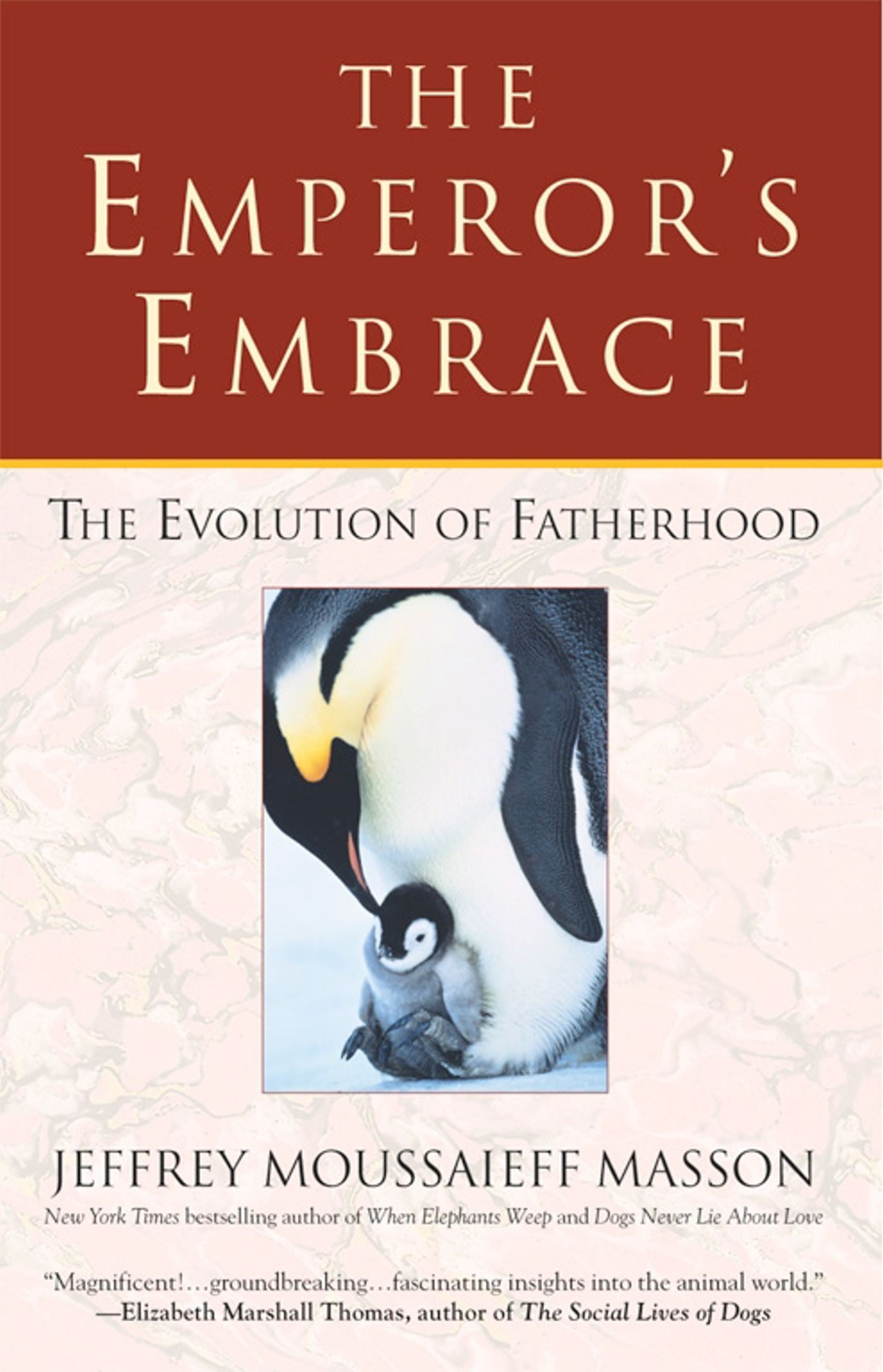 Emperor's Embrace: Reflections on Animal Families and Fatherhood