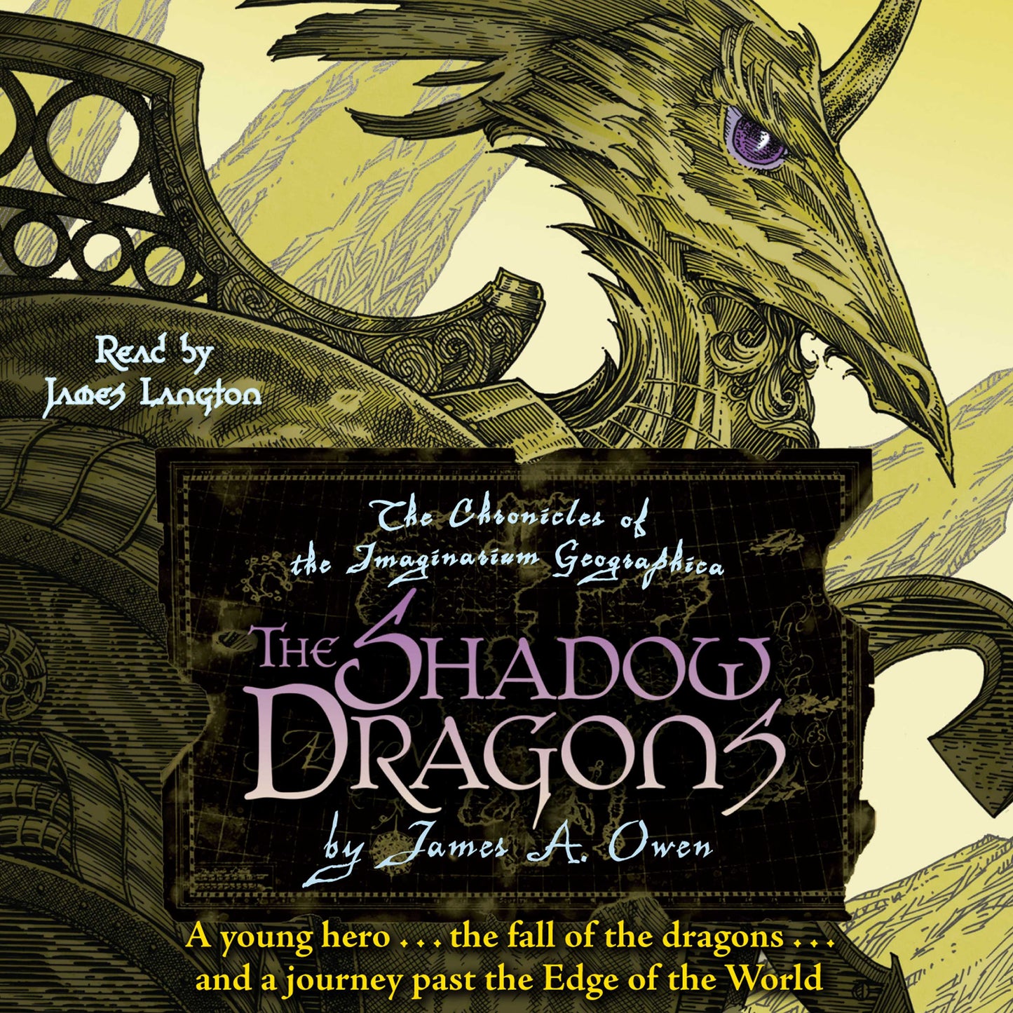 Shadow Dragons